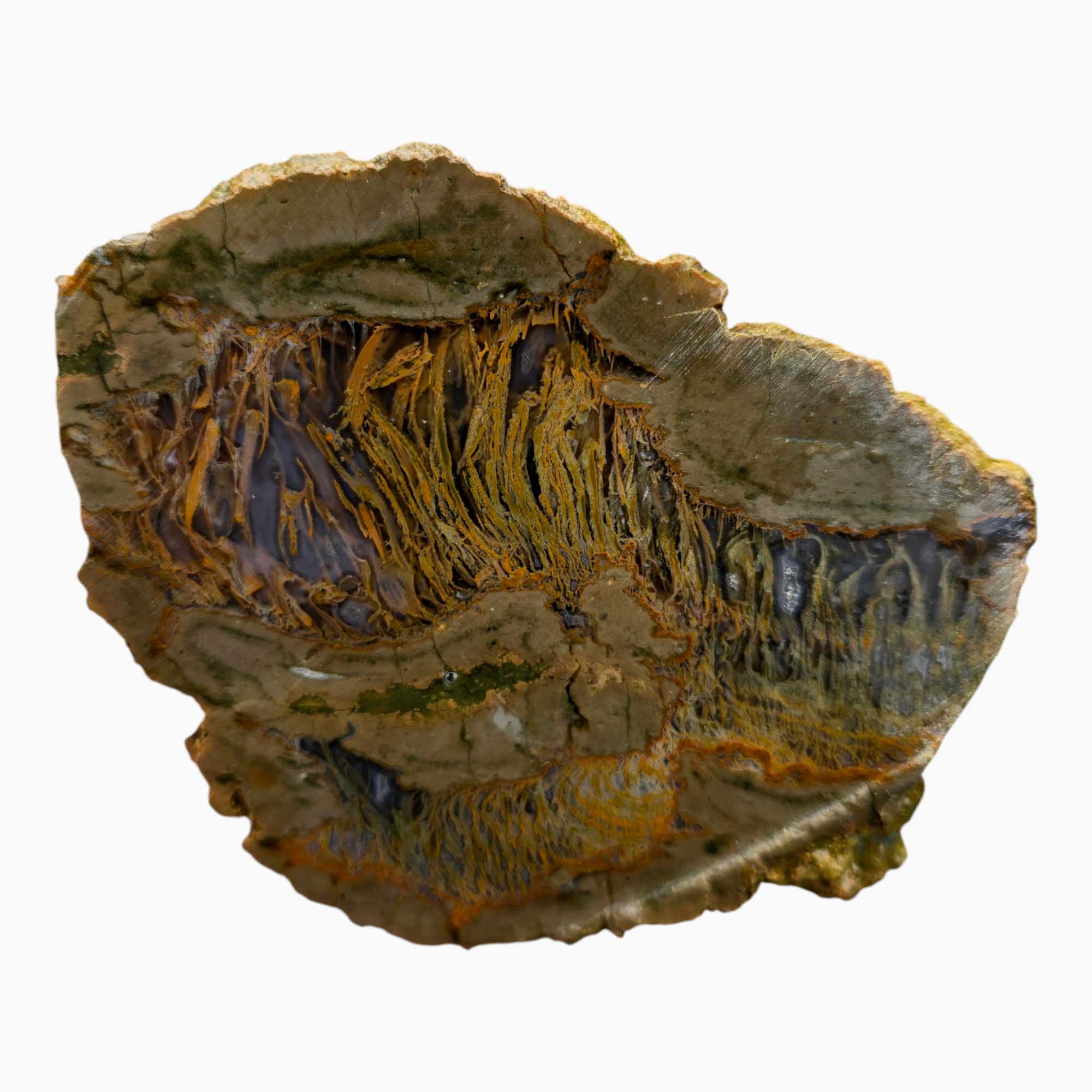 Priday Richardson Moss Bed Egg Rough Chunk Lapidary Stone Cut Face