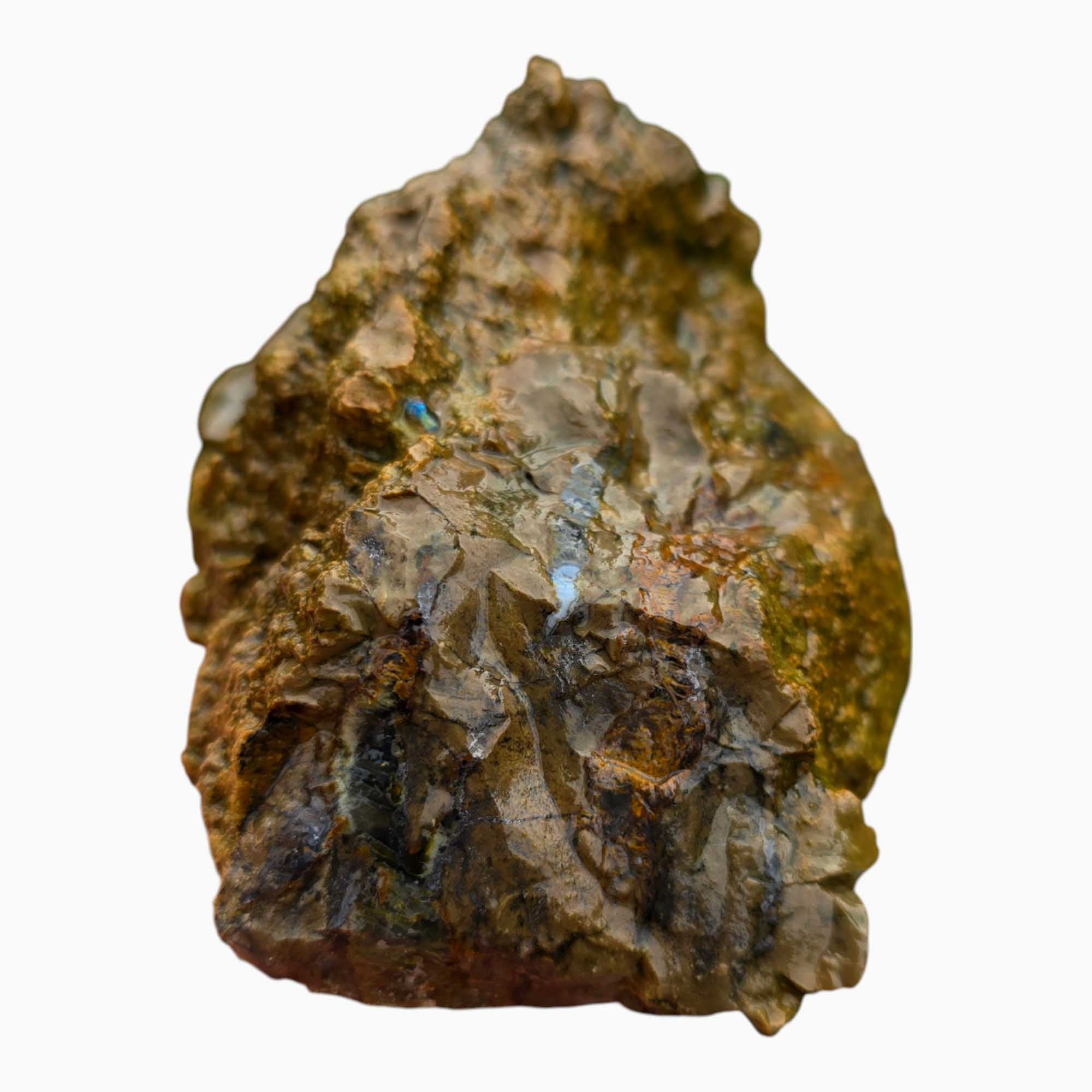 Priday Richardson Moss Bed Egg Rough Chunk Lapidary Stone Cut Face