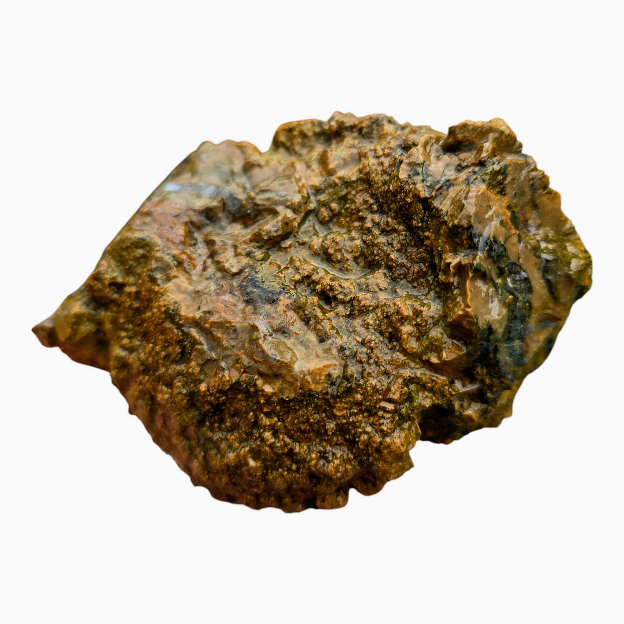 Priday Richardson Moss Bed Egg Rough Chunk Lapidary Stone Cut Face