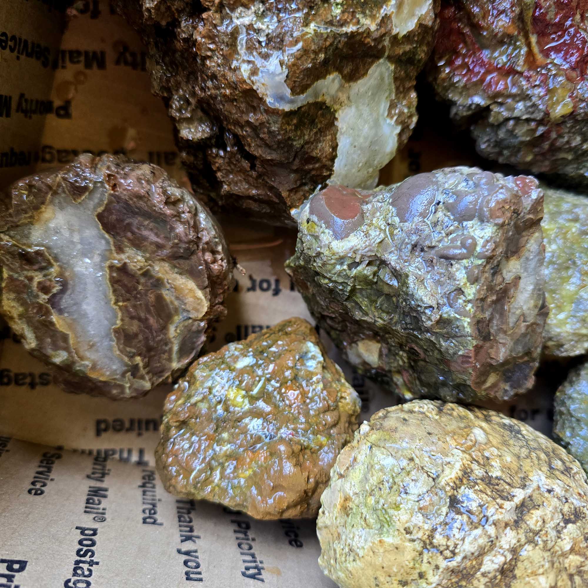 Old Stock Oregon Thunderegg Cutting Rough Flatrate Slicing Stones Rock Box