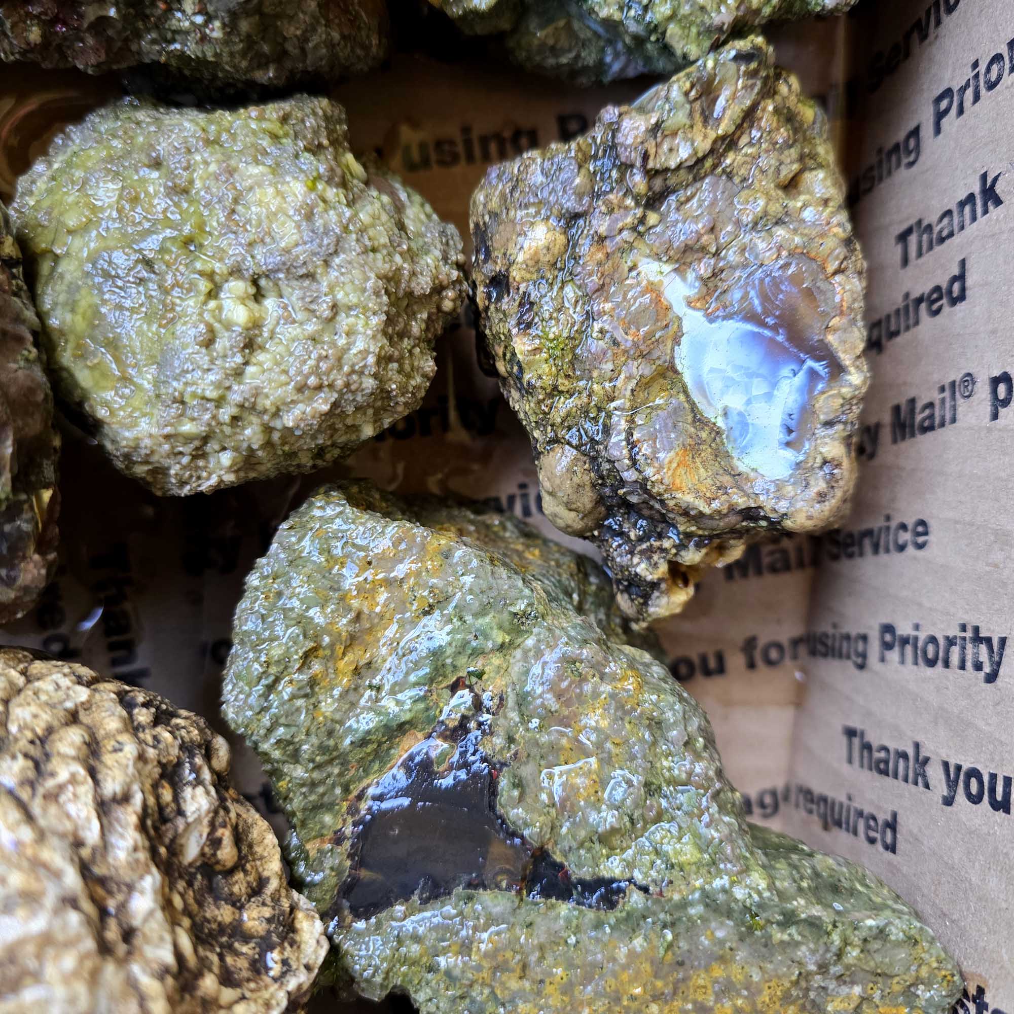 Old Stock Oregon Thunderegg Cutting Rough Flatrate Slicing Stones Rock Box