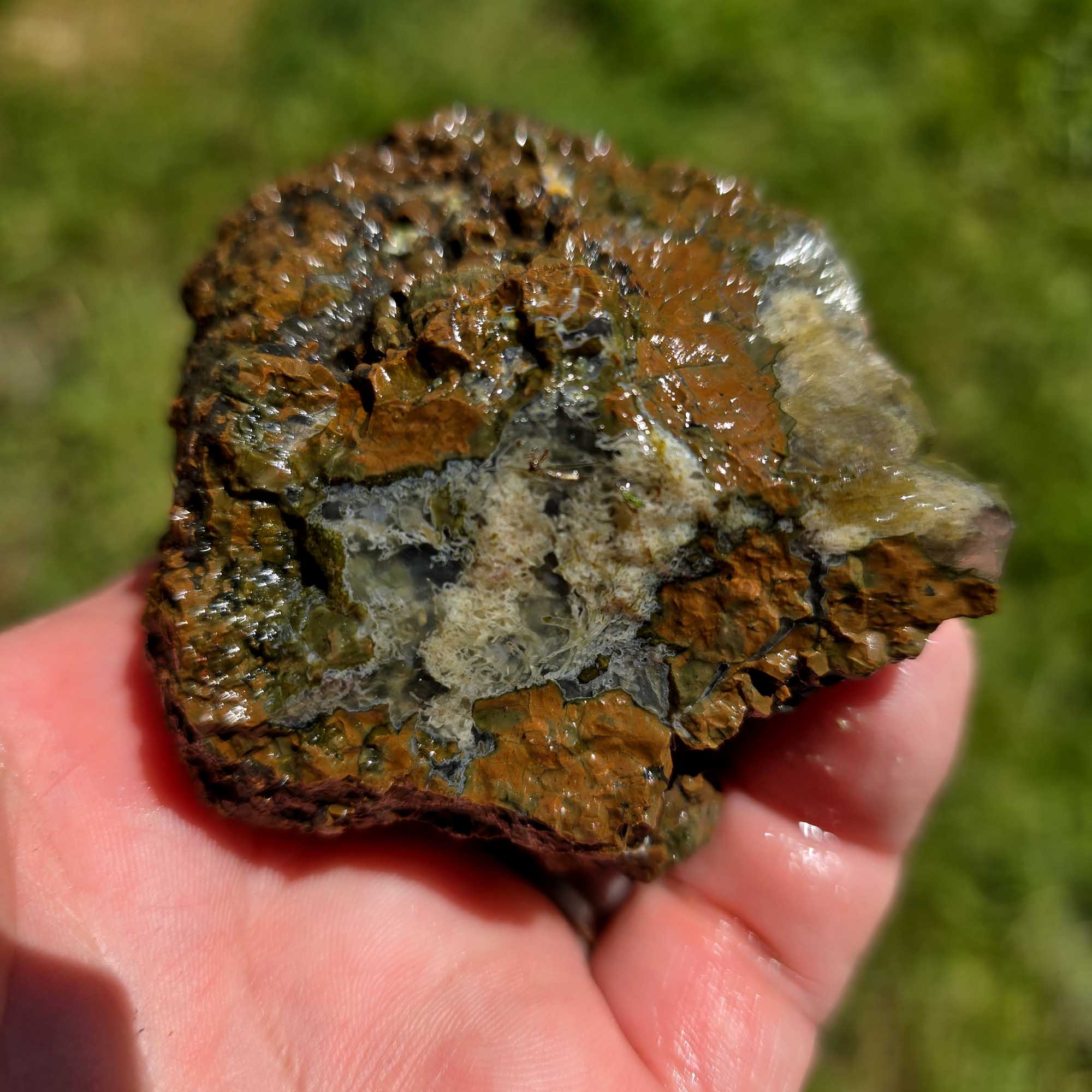Old Stock Oregon Thunderegg Cutting Rough Flatrate Slicing Stones Rock Box