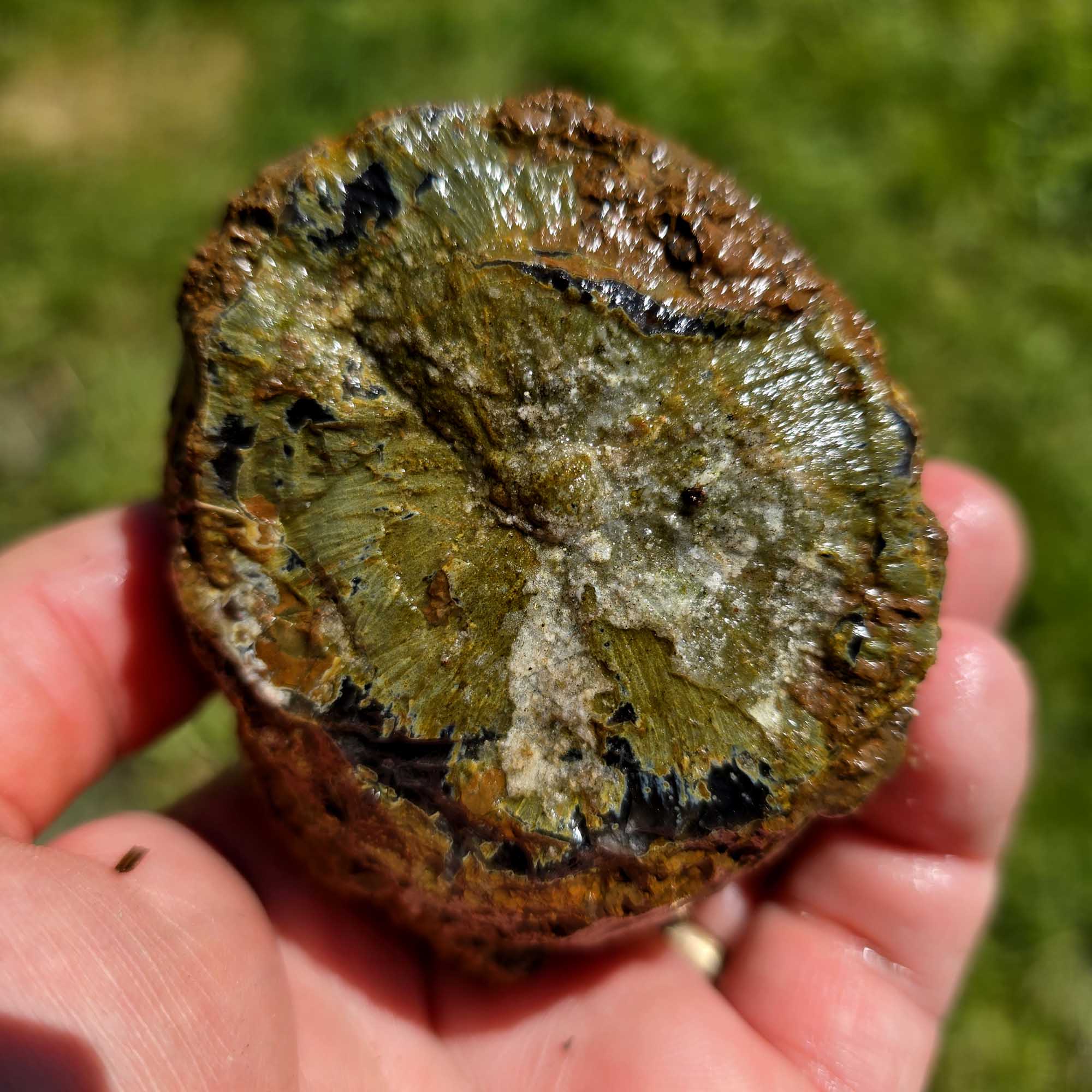 Old Stock Oregon Thunderegg Cutting Rough Flatrate Slicing Stones Rock Box