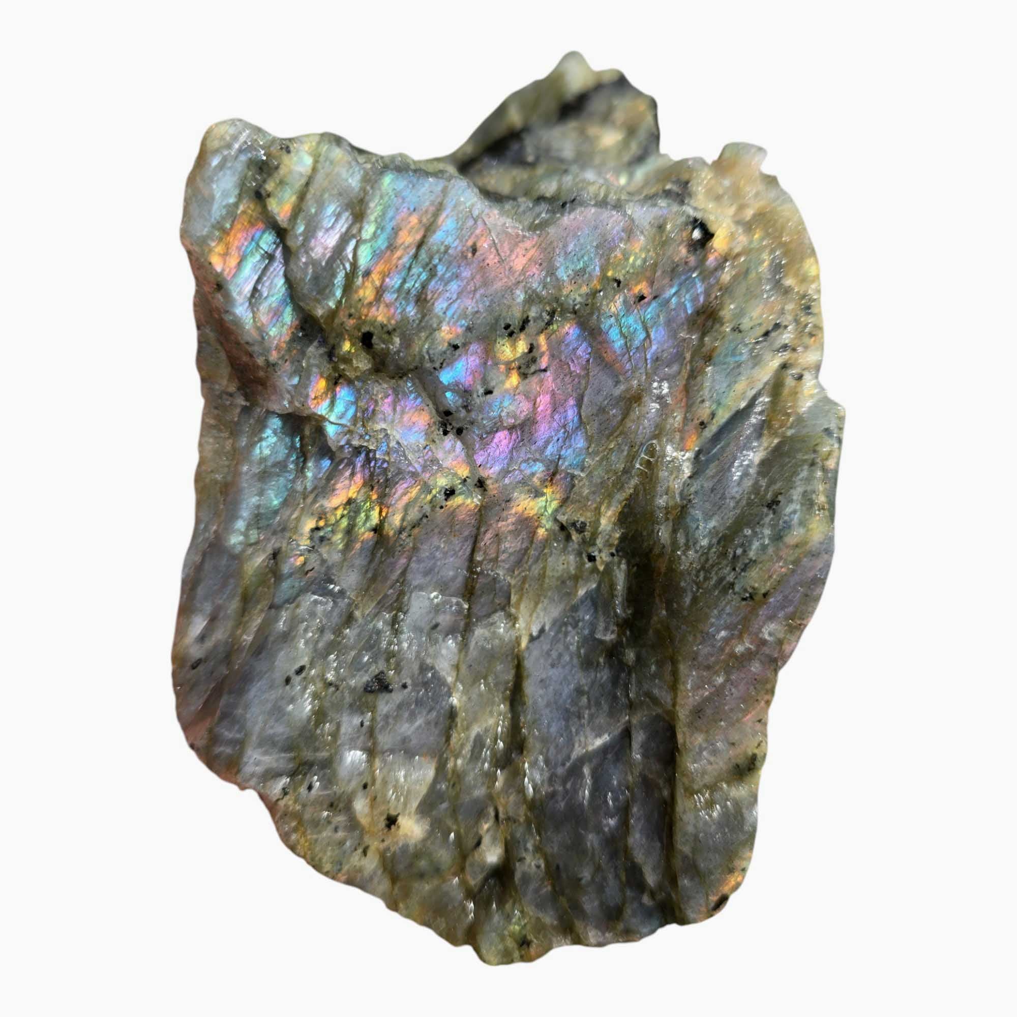 Labradorite Lapidary Cutting Rough Chunk Feldspar Baby Colors