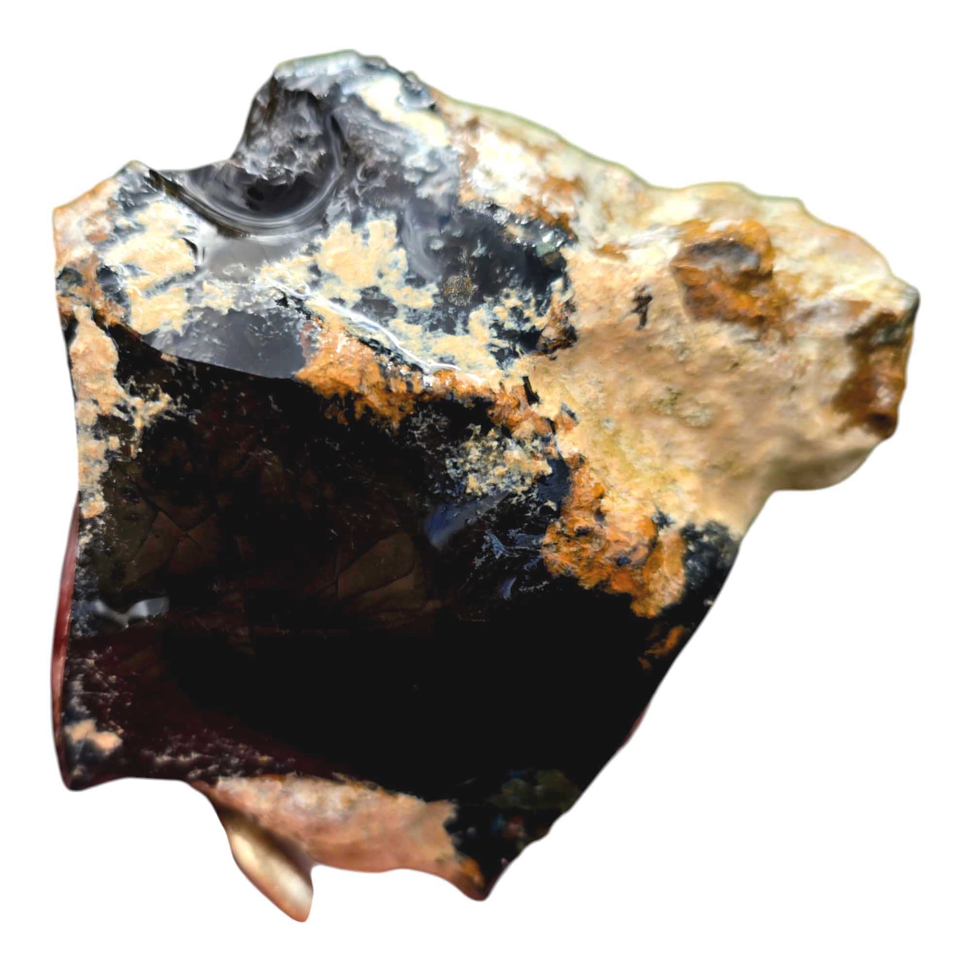 Orbicular Whisky Creek Jasper Lapidary Cutting Rough Chunk RARE