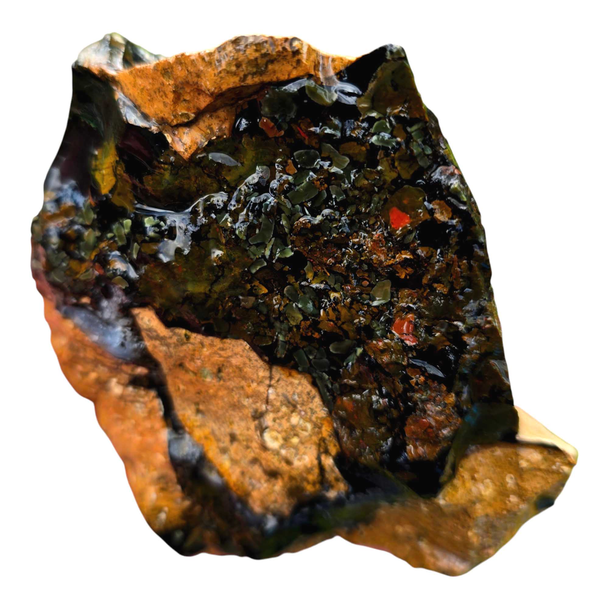 Orbicular Whisky Creek Jasper Lapidary Cutting Rough Chunk RARE