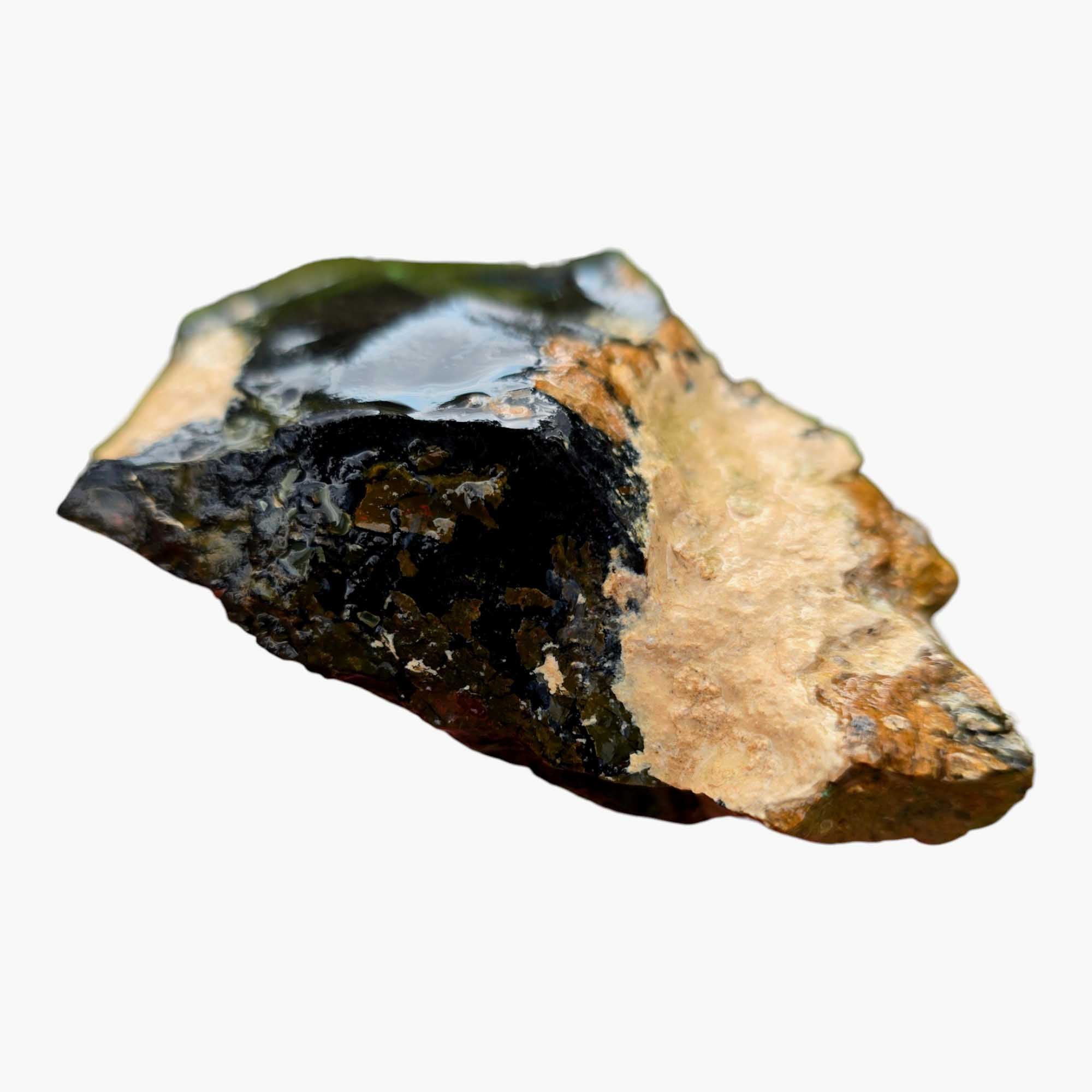 Orbicular Whisky Creek Jasper Lapidary Cutting Rough Chunk RARE