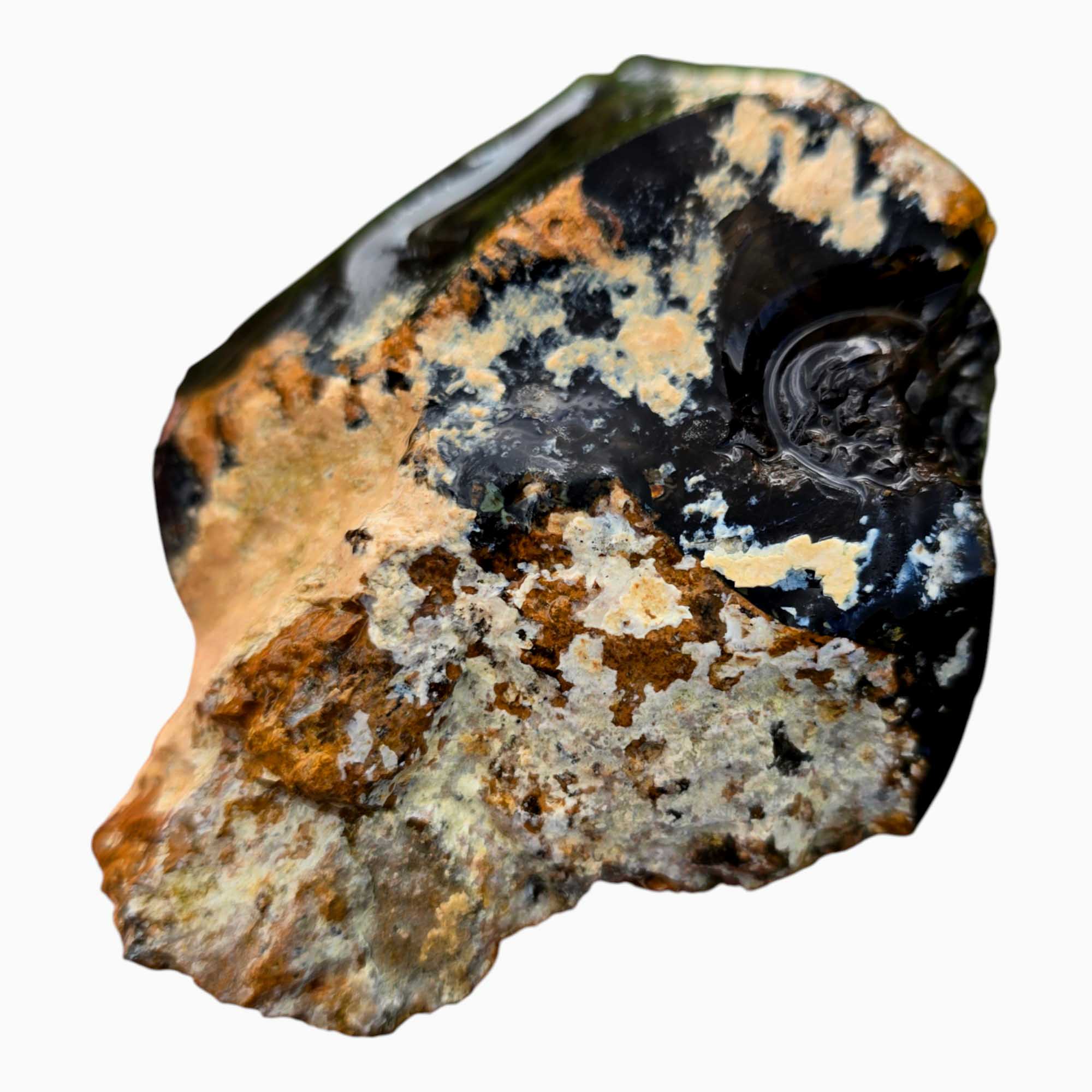 Orbicular Whisky Creek Jasper Lapidary Cutting Rough Chunk RARE