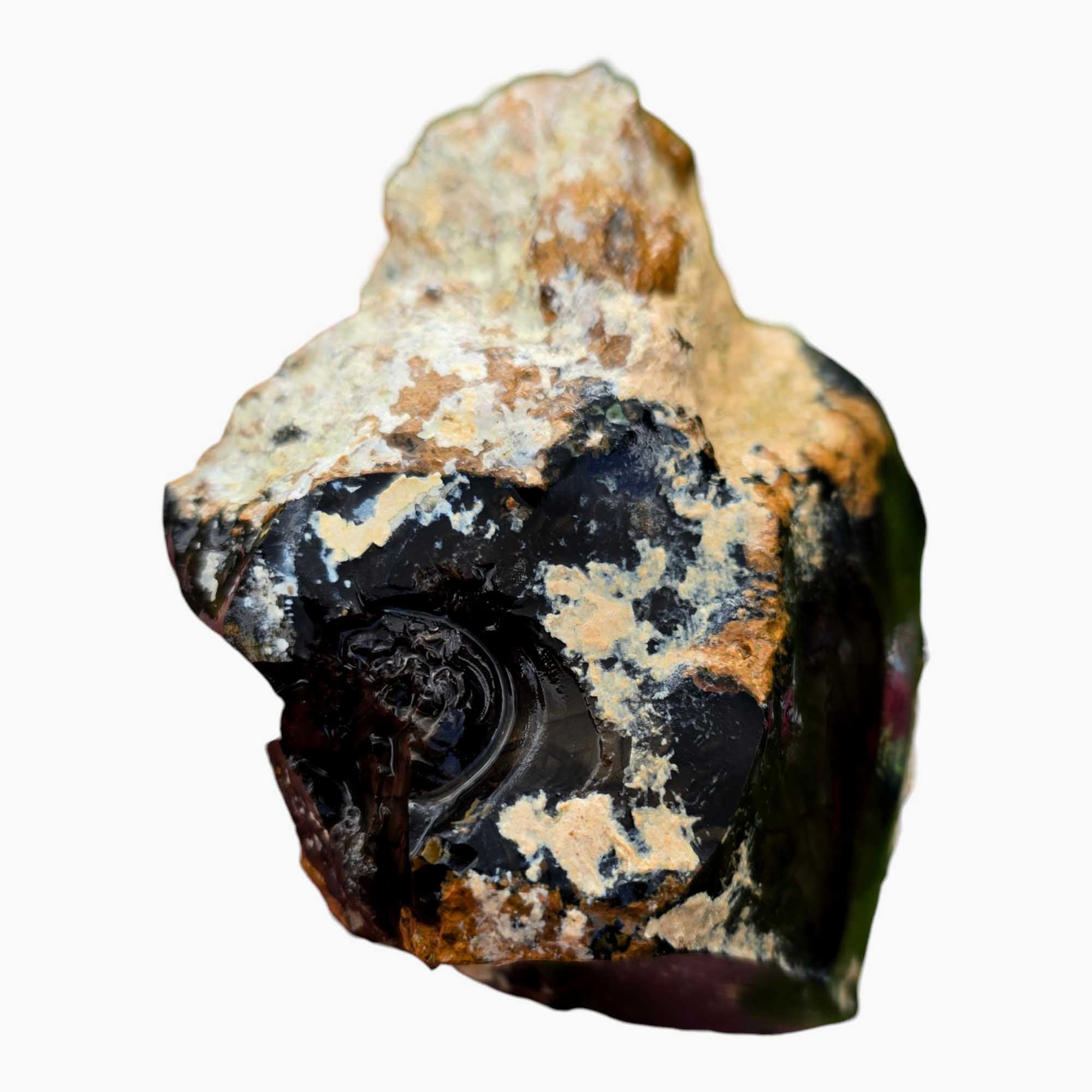 Orbicular Whisky Creek Jasper Lapidary Cutting Rough Chunk RARE