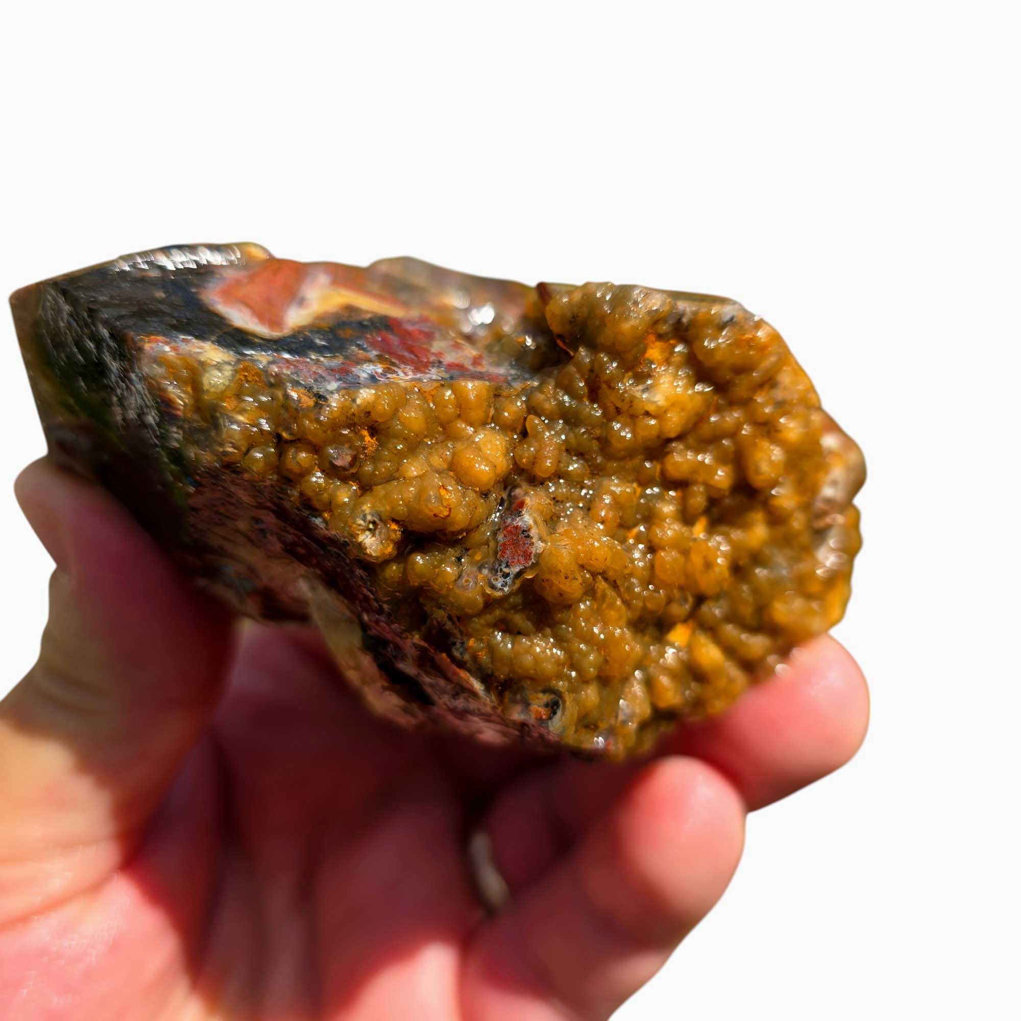 Eagle Rock Plume Agate Rough – Botryoidal Rhyolite with Moss & Plume