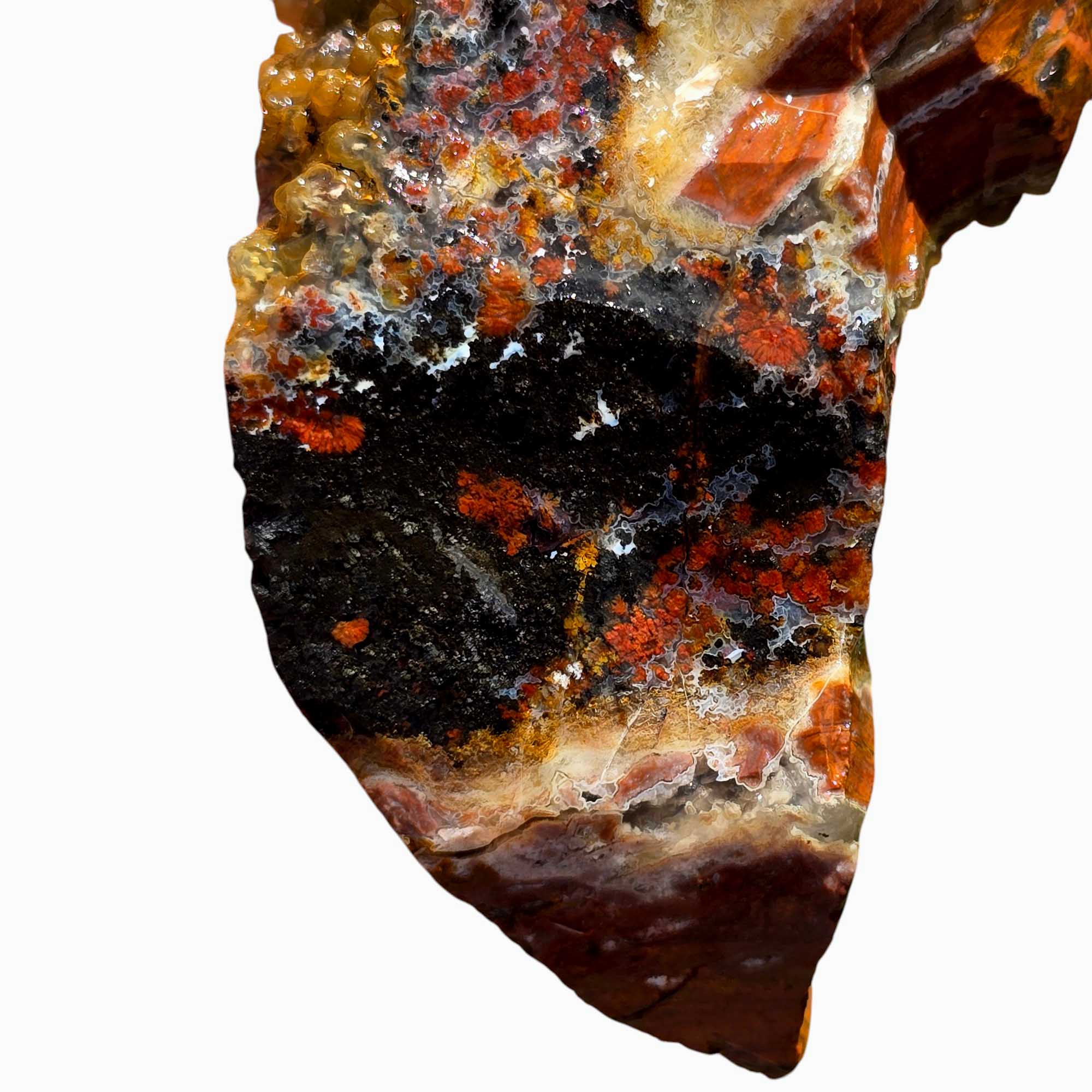 Eagle Rock Plume Agate Rough – Botryoidal Rhyolite with Moss & Plume