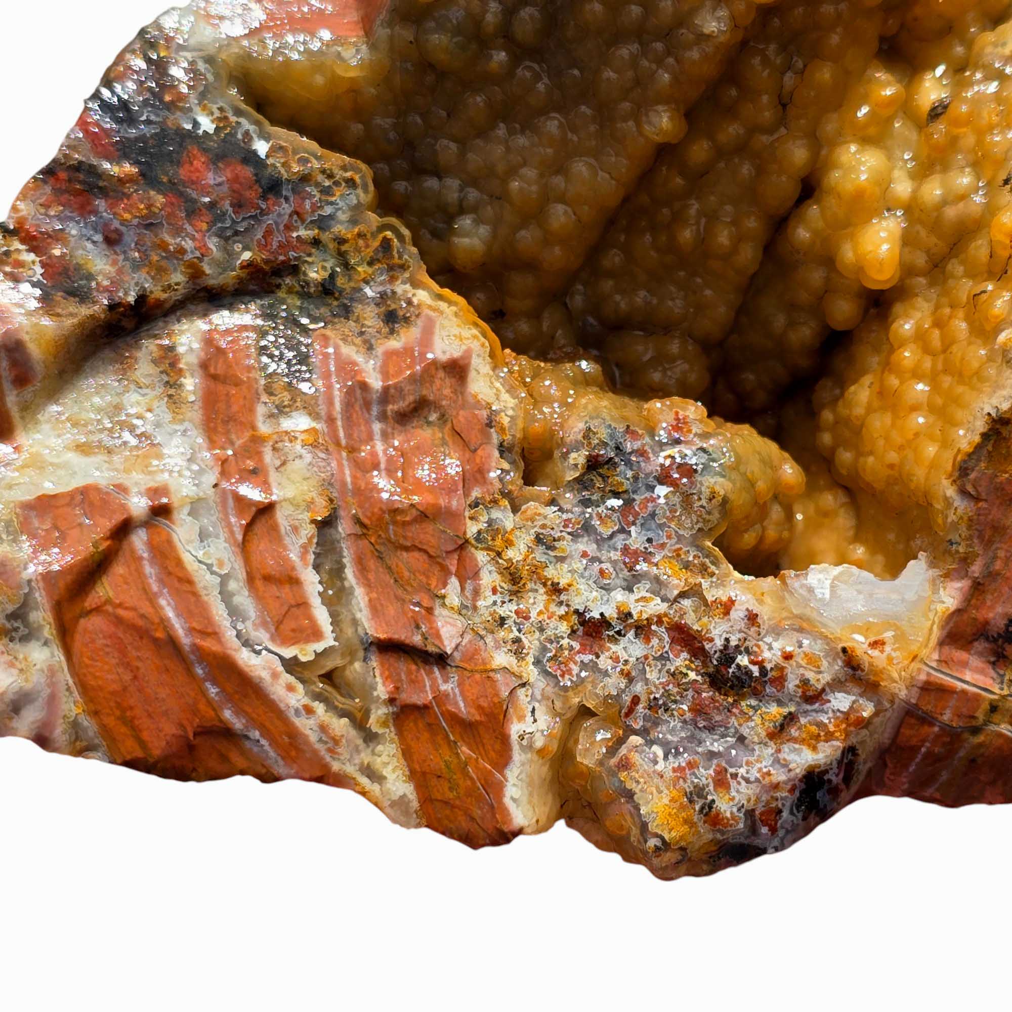 Eagle Rock Plume Agate Rough – Botryoidal Rhyolite with Moss & Plume