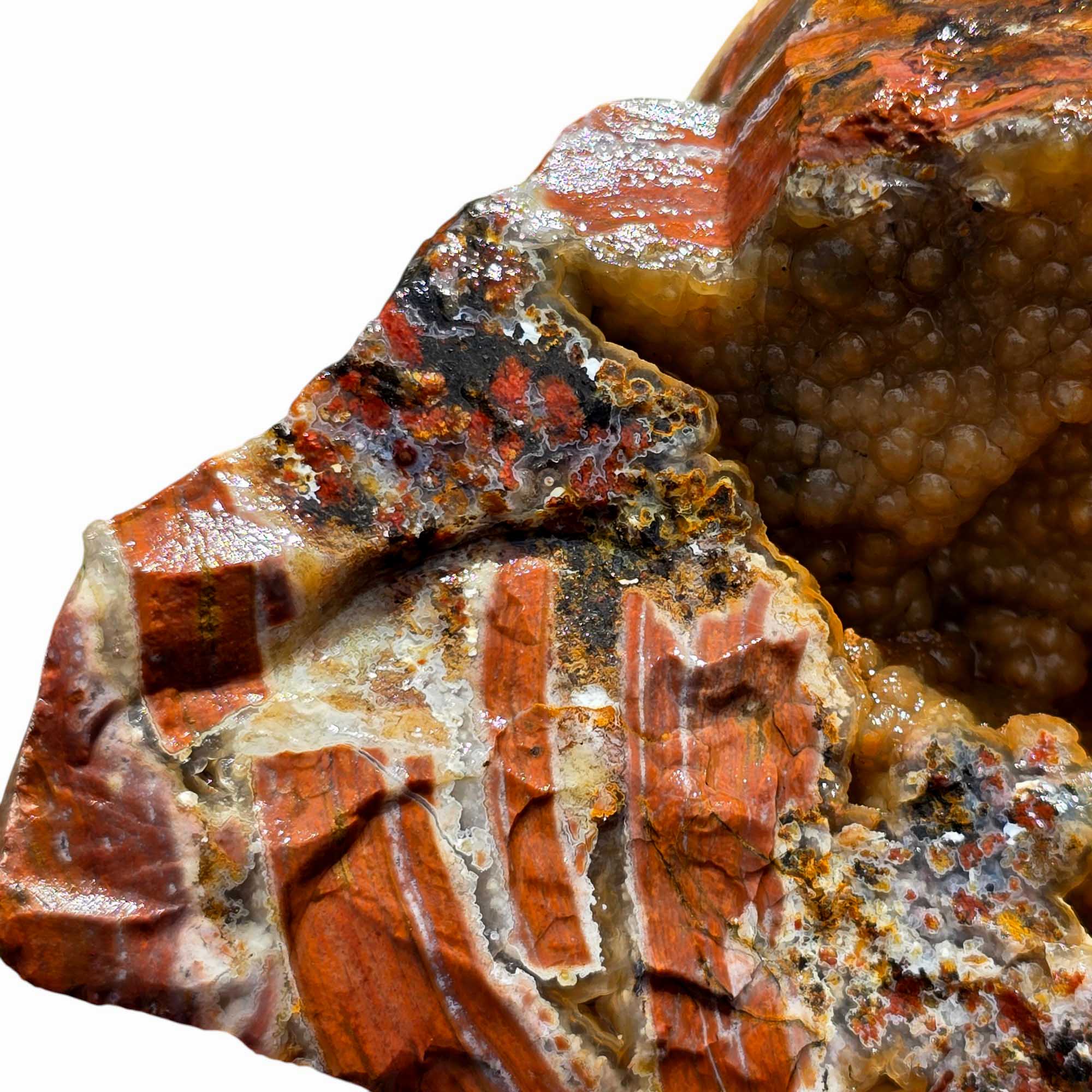 Eagle Rock Plume Agate Rough – Botryoidal Rhyolite with Moss & Plume