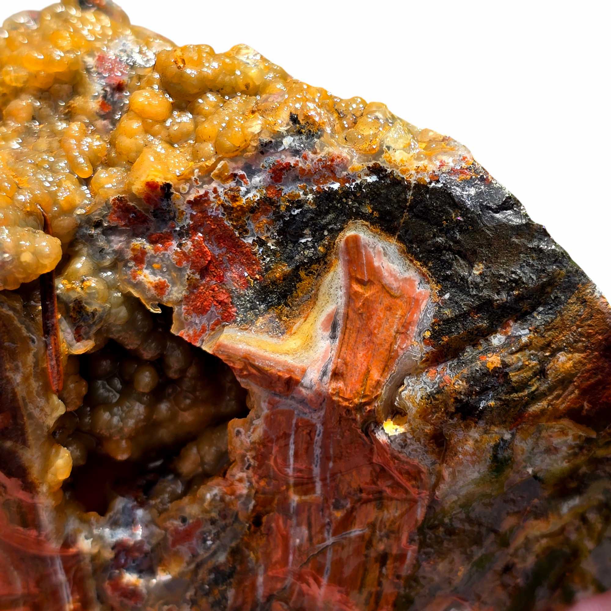 Eagle Rock Plume Agate Rough – Botryoidal Rhyolite with Moss & Plume