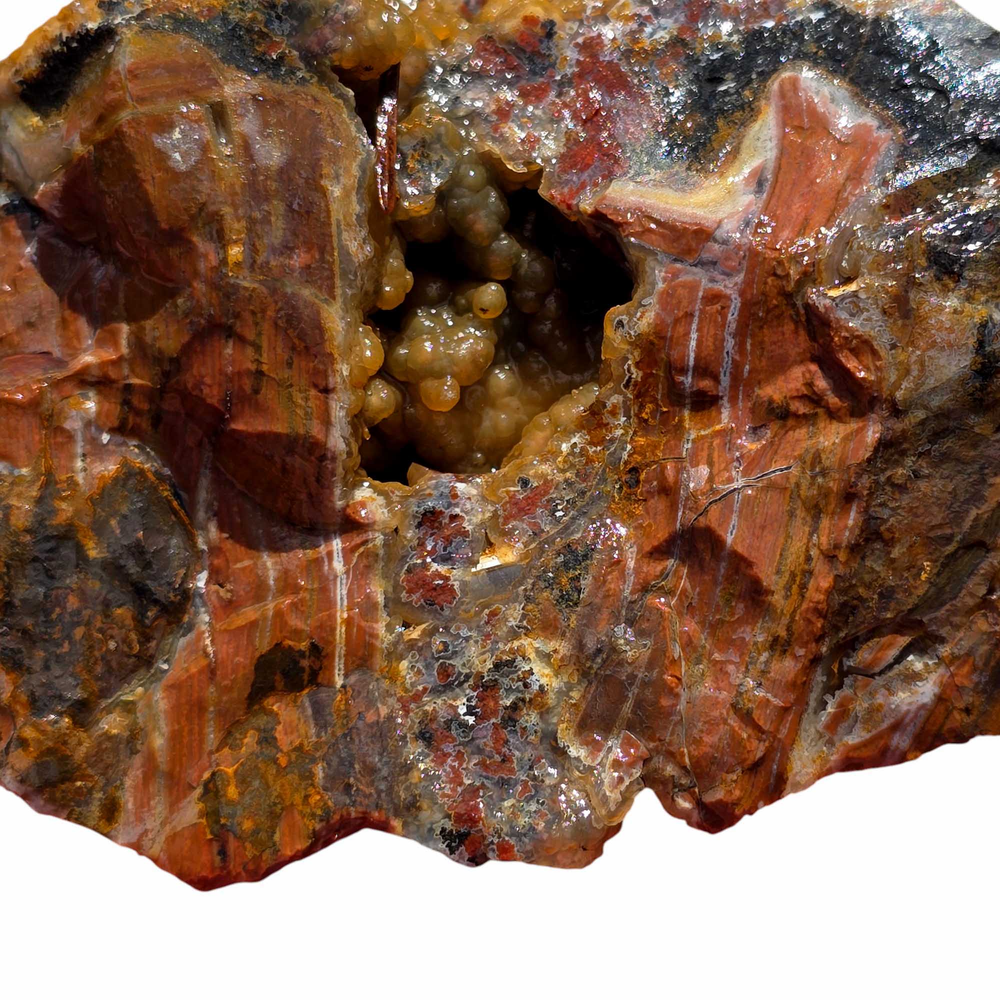Eagle Rock Plume Agate Rough – Botryoidal Rhyolite with Moss & Plume