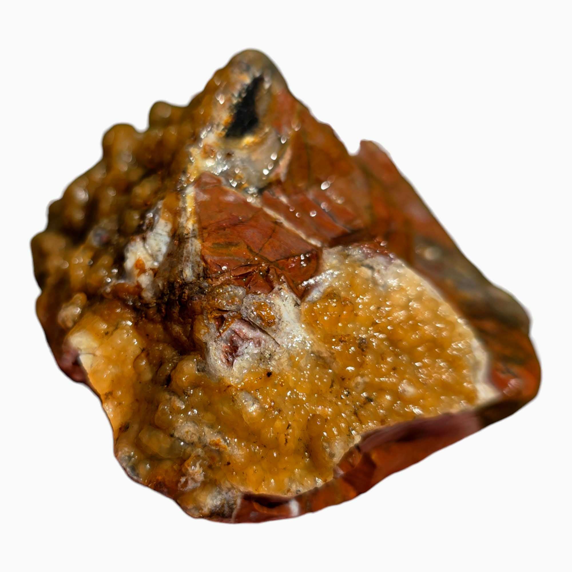 Eagle Rock Plume Agate Rough – Botryoidal Rhyolite with Moss & Plume