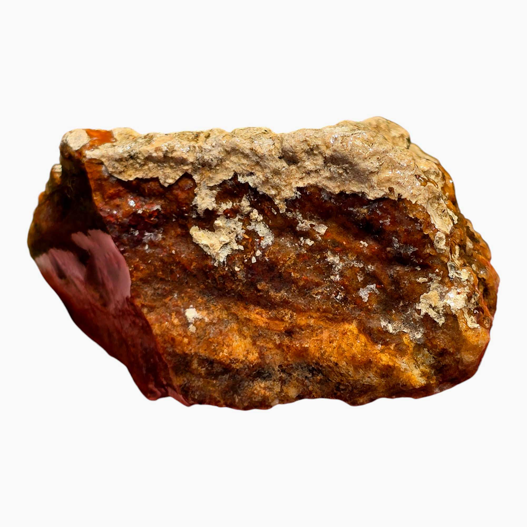 Carey Plume Agate – Rare Red Oregon Agate for Lapidary, Cutting, or Display
