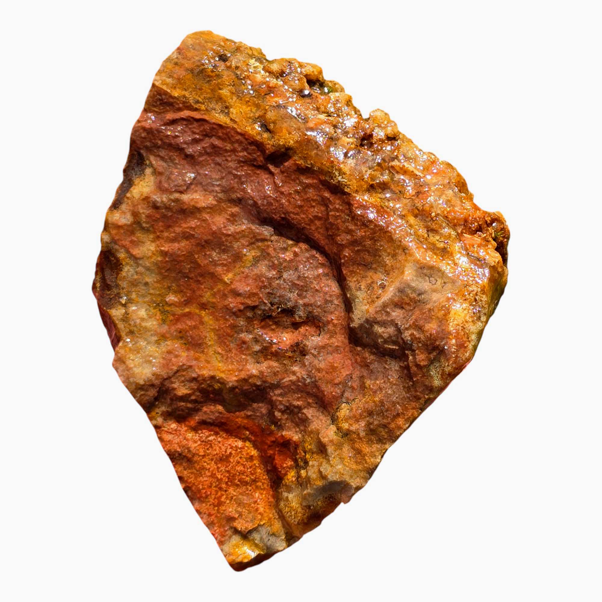 Carey Plume Agate – Rare Red Oregon Agate for Lapidary, Cutting, or Display