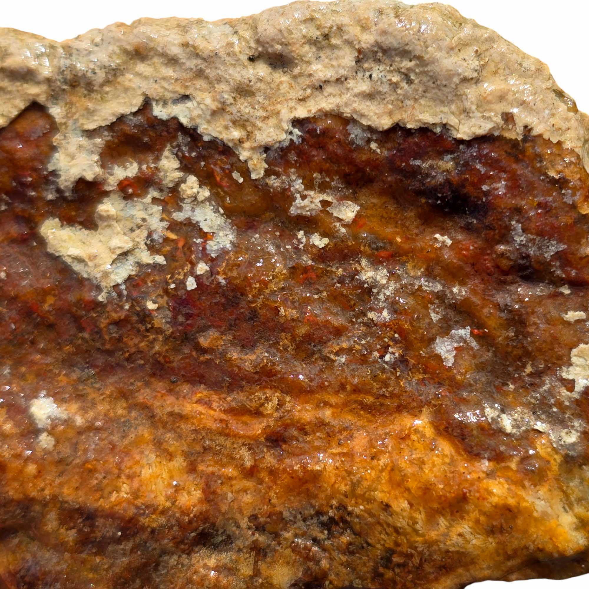 Carey Plume Agate – Rare Red Oregon Agate for Lapidary, Cutting, or Display
