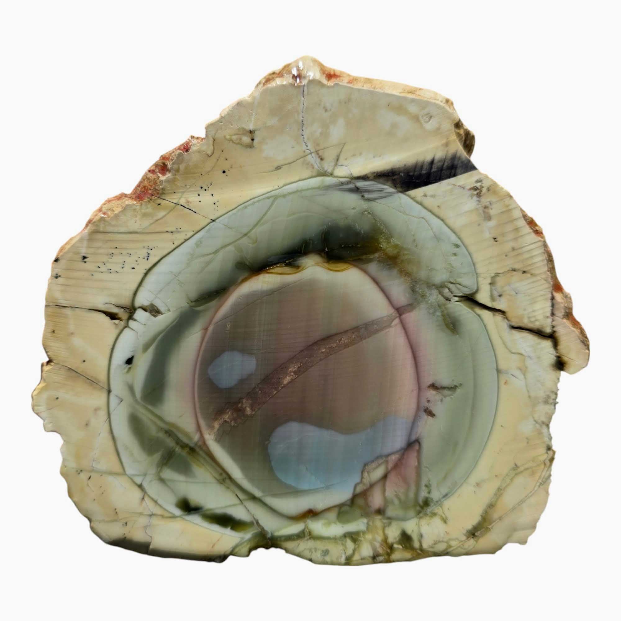 Royal Imperial Jasper Slab Lapidary Stone Slice Cut Rock