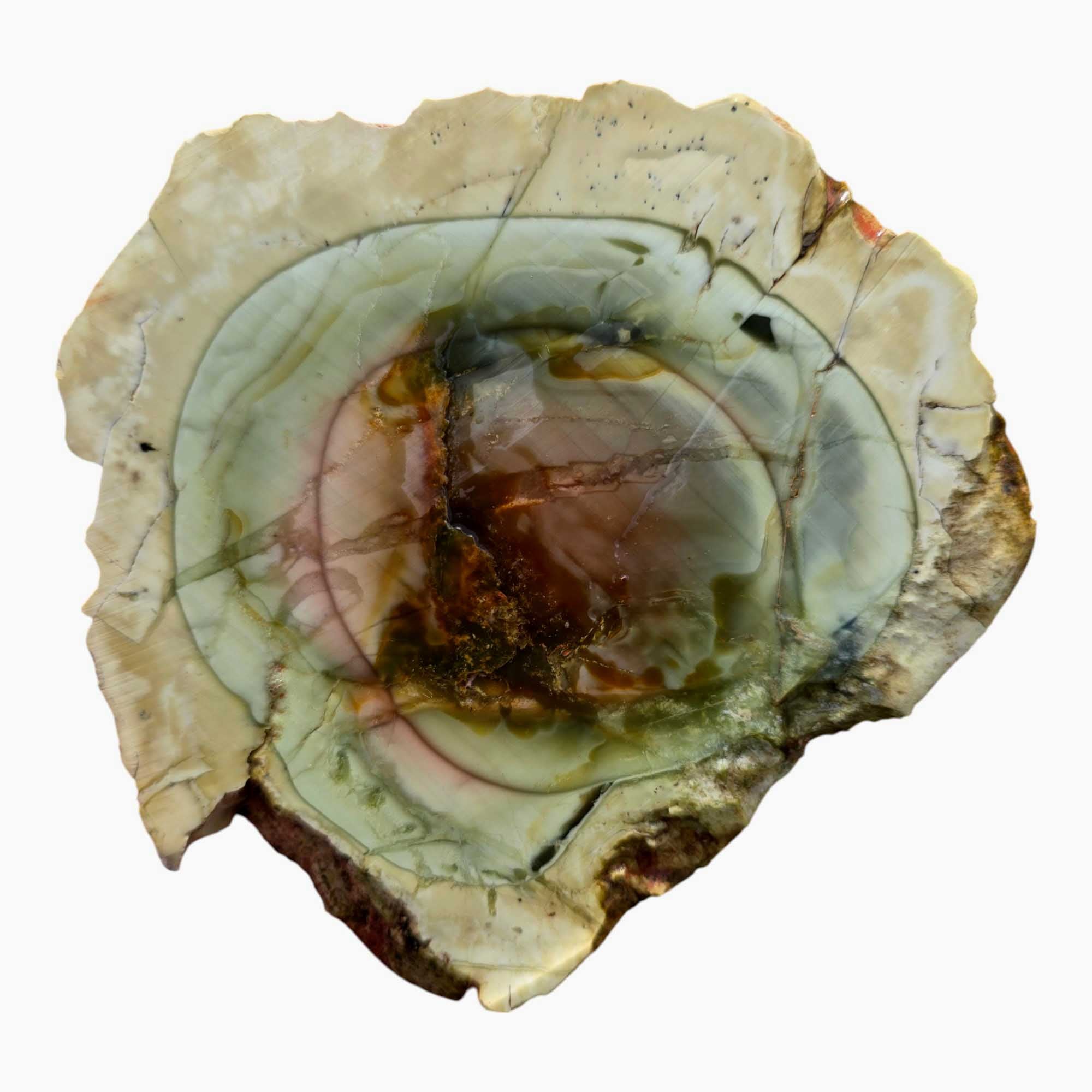 Royal Imperial Jasper Slab Lapidary Stone Slice Cut Rock