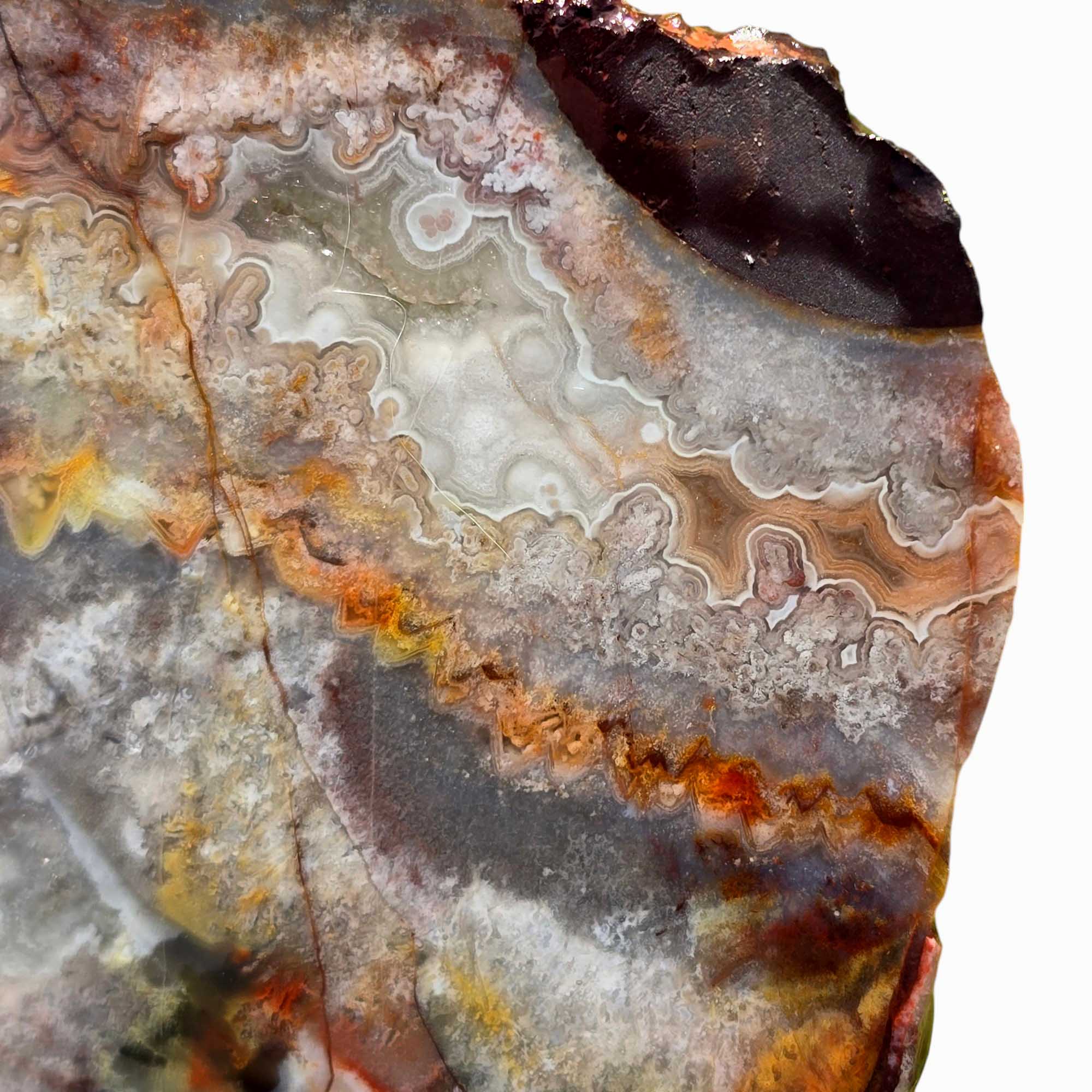 Sarape Jasper Slab Crazy Lace Relative Lapidary Stone Slice Cut Rock