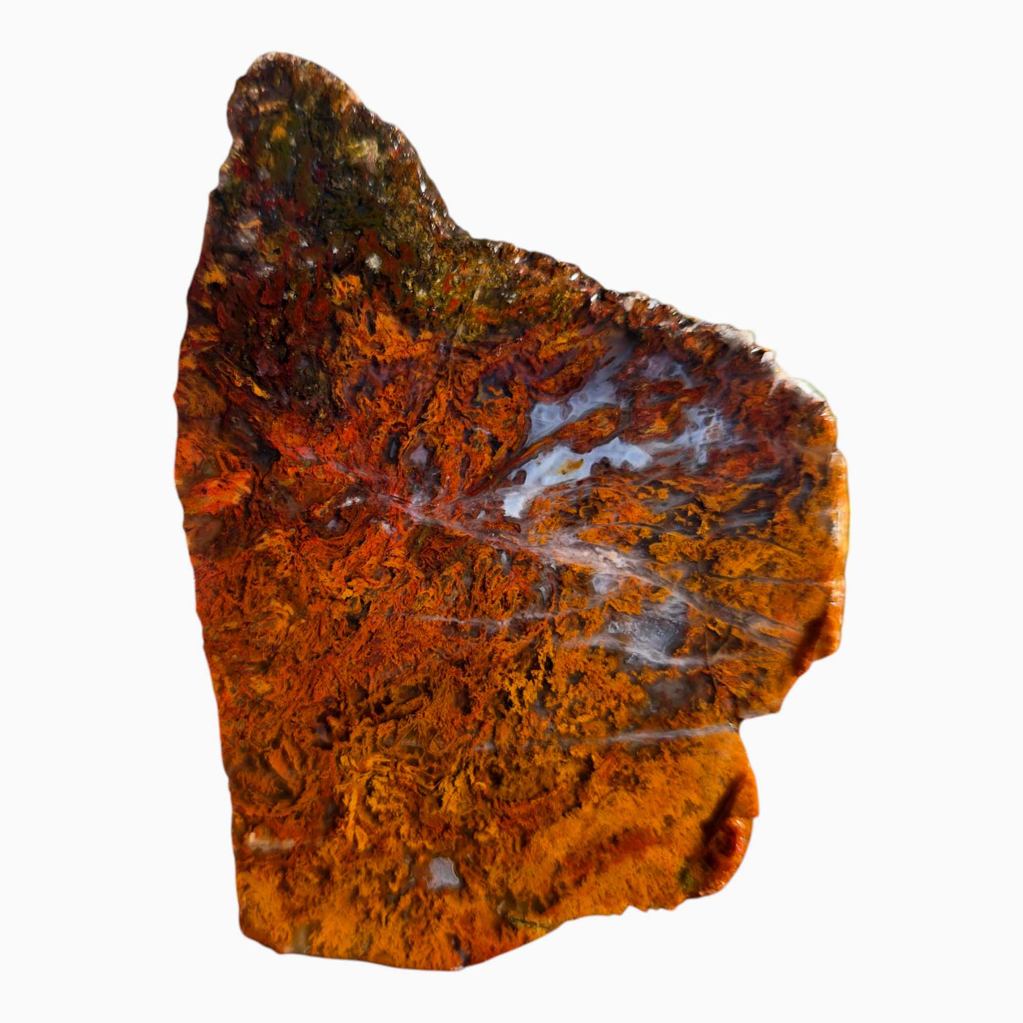 San Carlos Agate Slab Lapidary Stone Slice Cut Rock