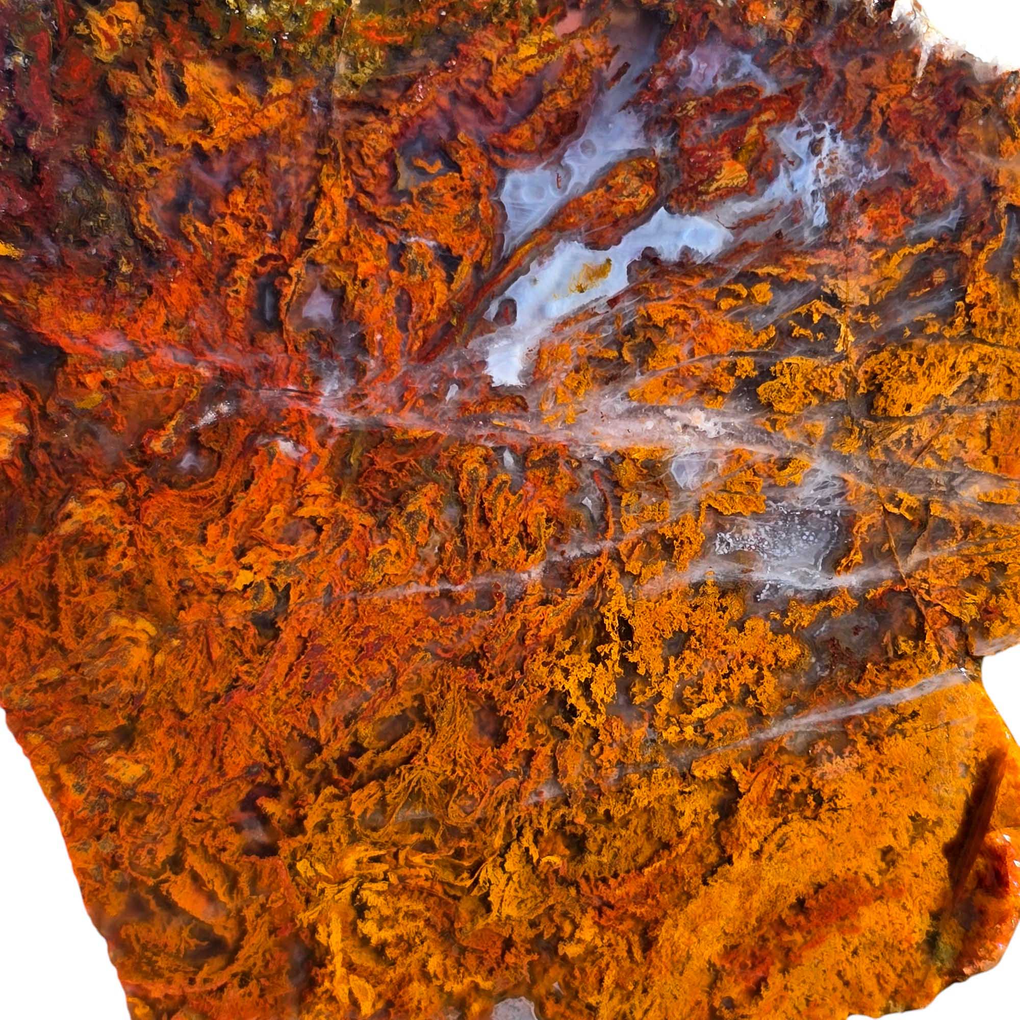 San Carlos Agate Slab Lapidary Stone Slice Cut Rock
