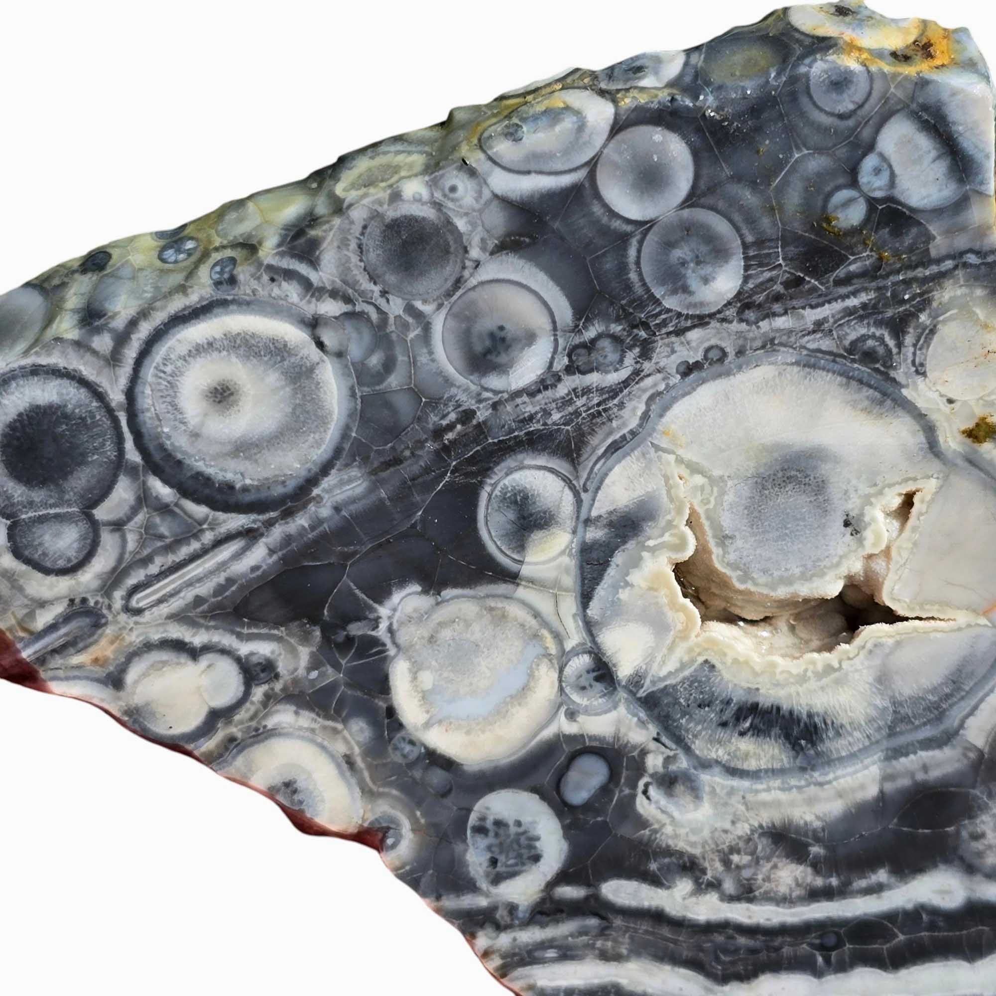 Galaxy Galactica Rhyolite Slab Lapidary Stone Slice Cut Rock