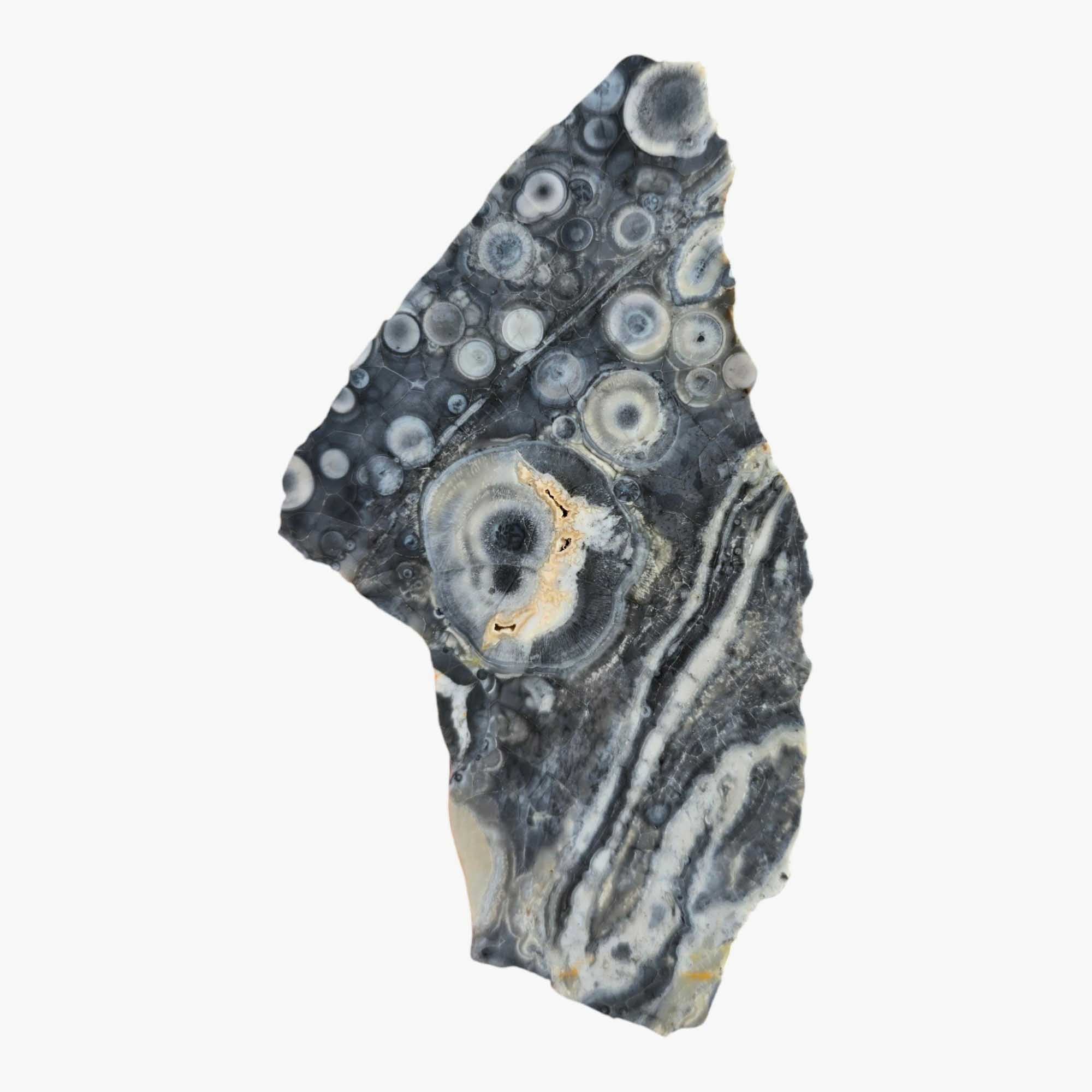Galaxy Galactica Rhyolite Slab Lapidary Stone Slice Cut Rock