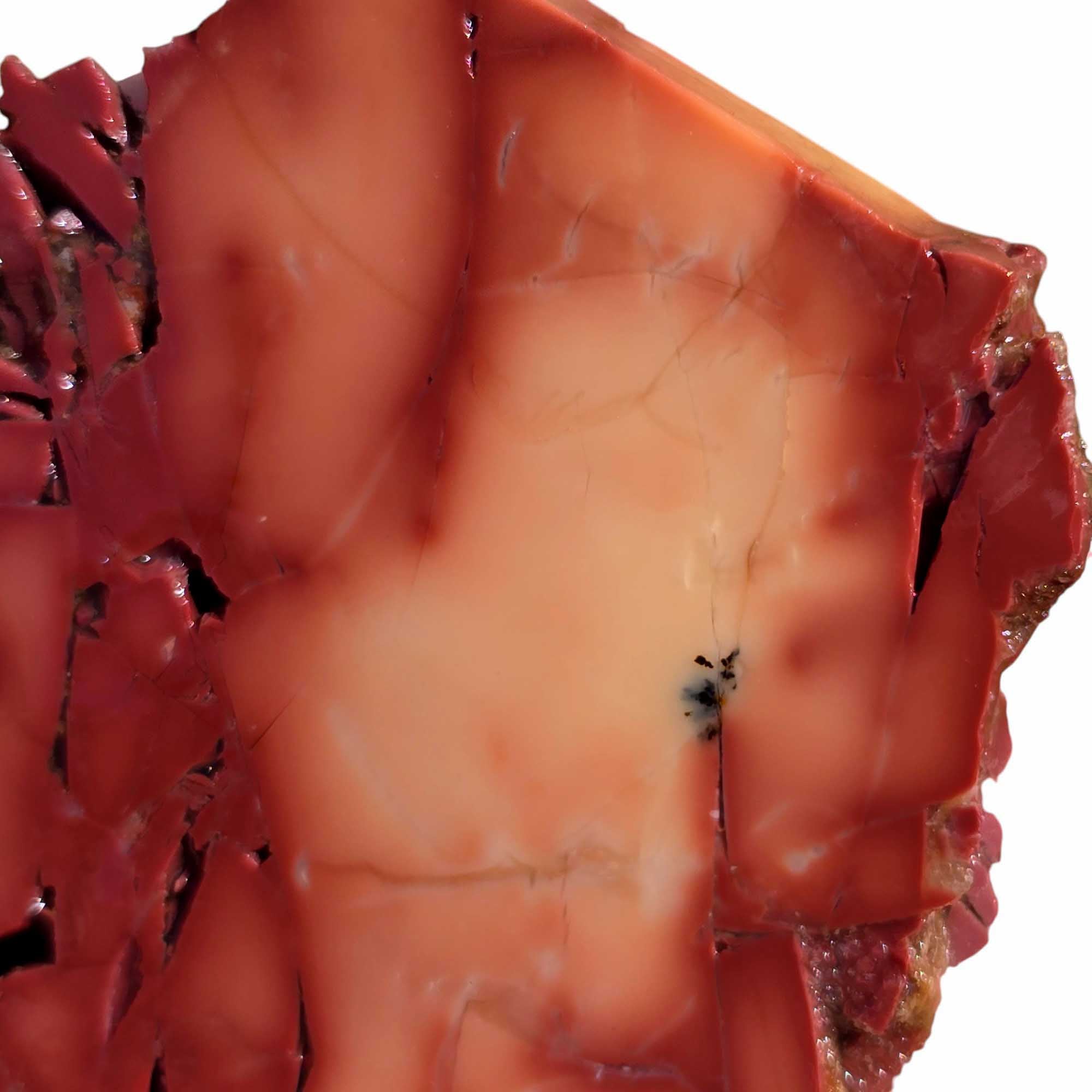 Bear Creek Jasper Slab Lapidary Stone Slice Cut Rock