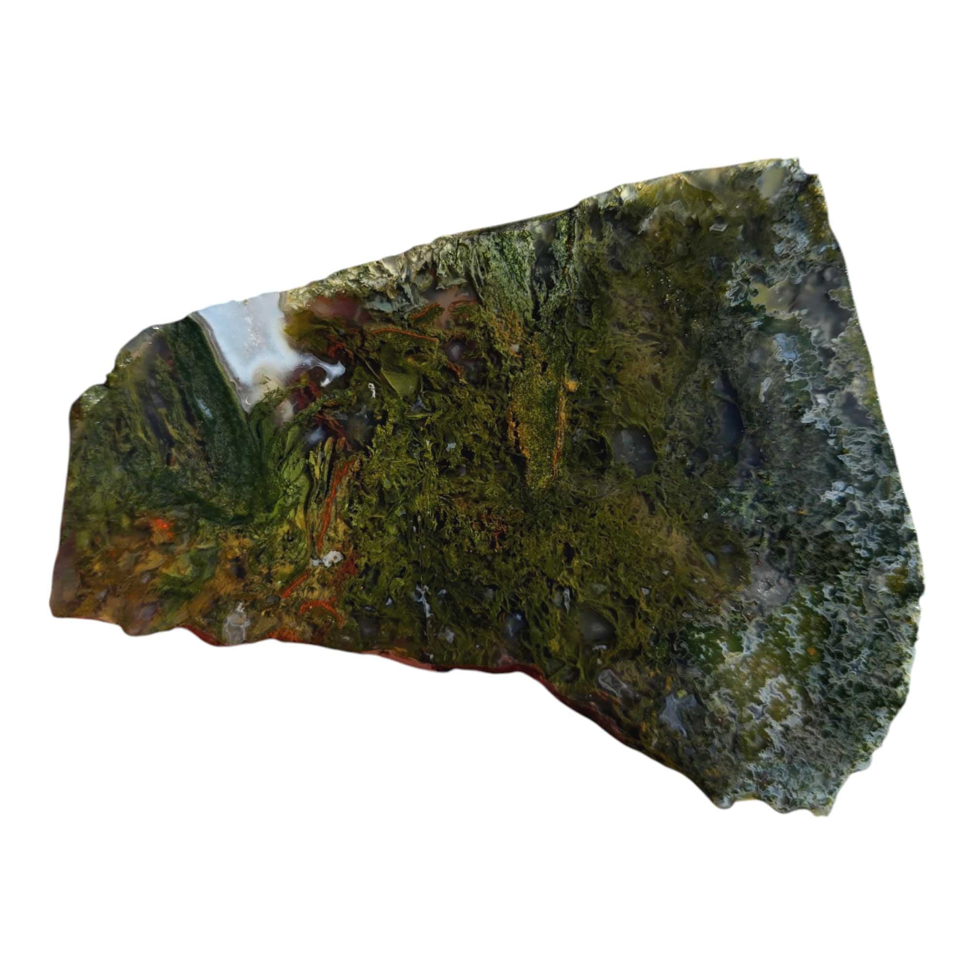Maury Mountain Moss Agate Slab Lapidary Stone Slice Cut Rock