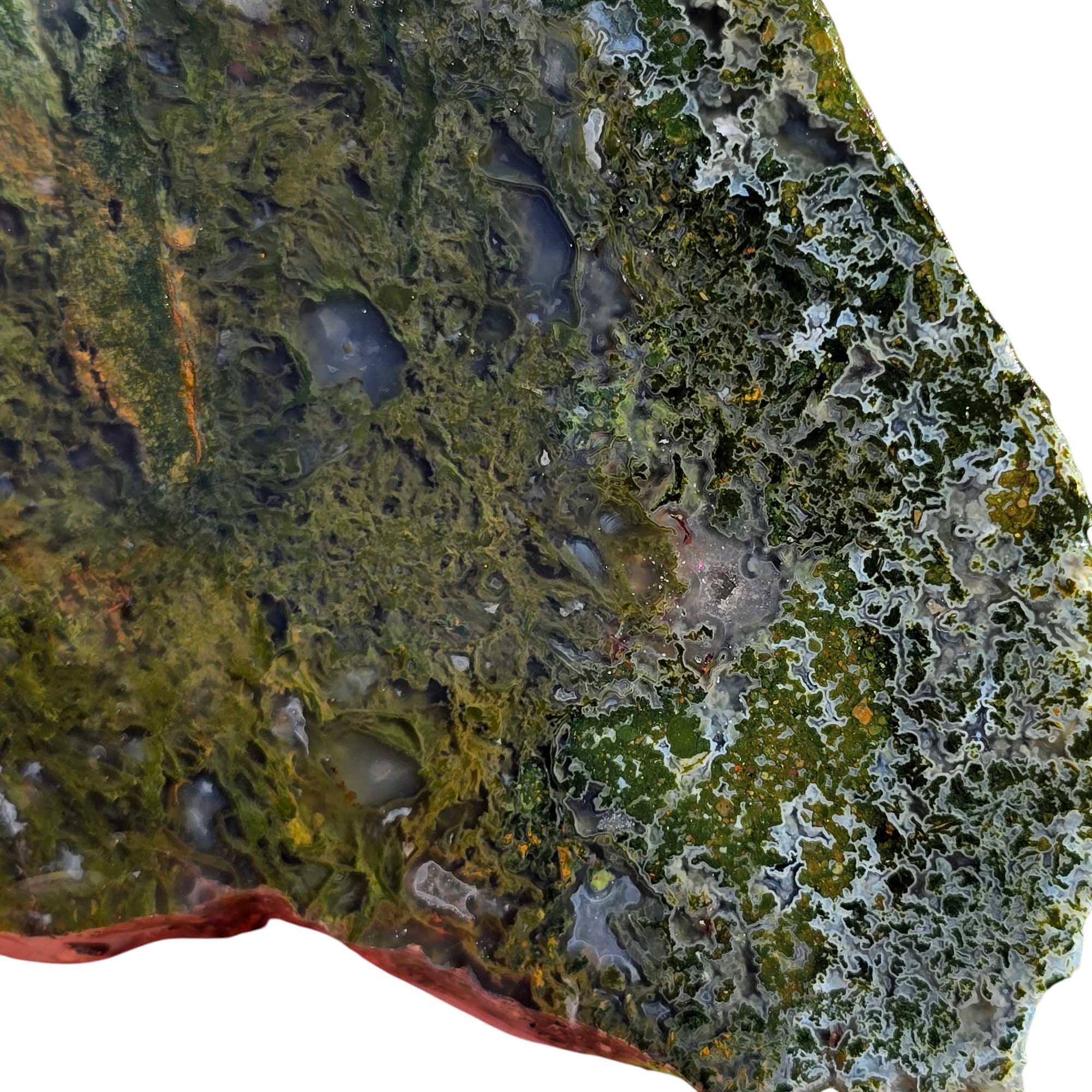 Maury Mountain Moss Agate Slab Lapidary Stone Slice Cut Rock