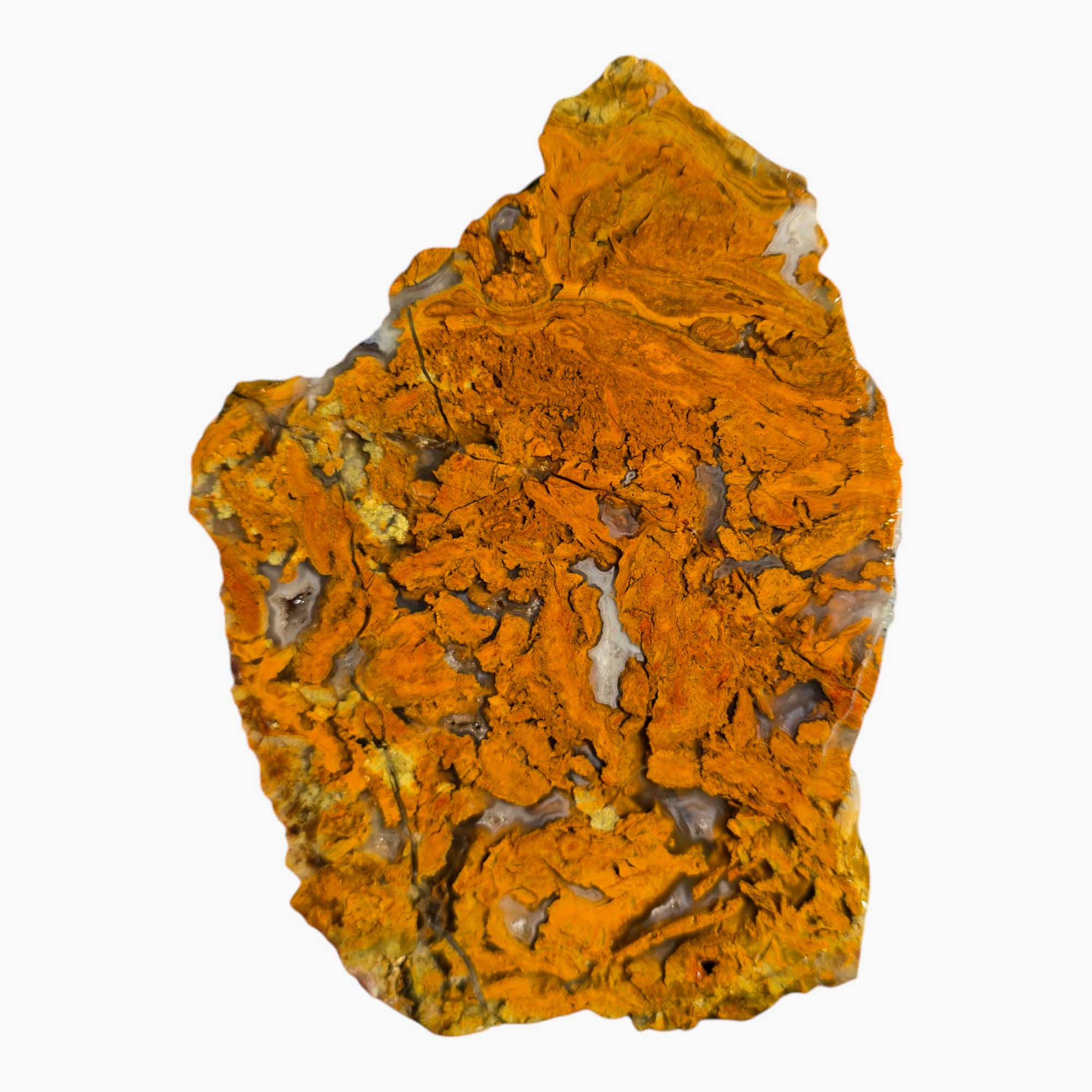 Mystery Brecciated Jasper Slab Lapidary Stone Slice Cut Rock