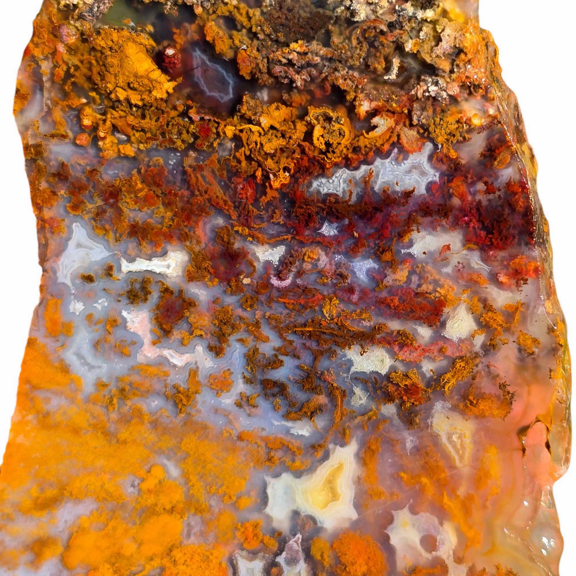 San Carlos Agate Slab Lapidary Stone Slice Cut Rock