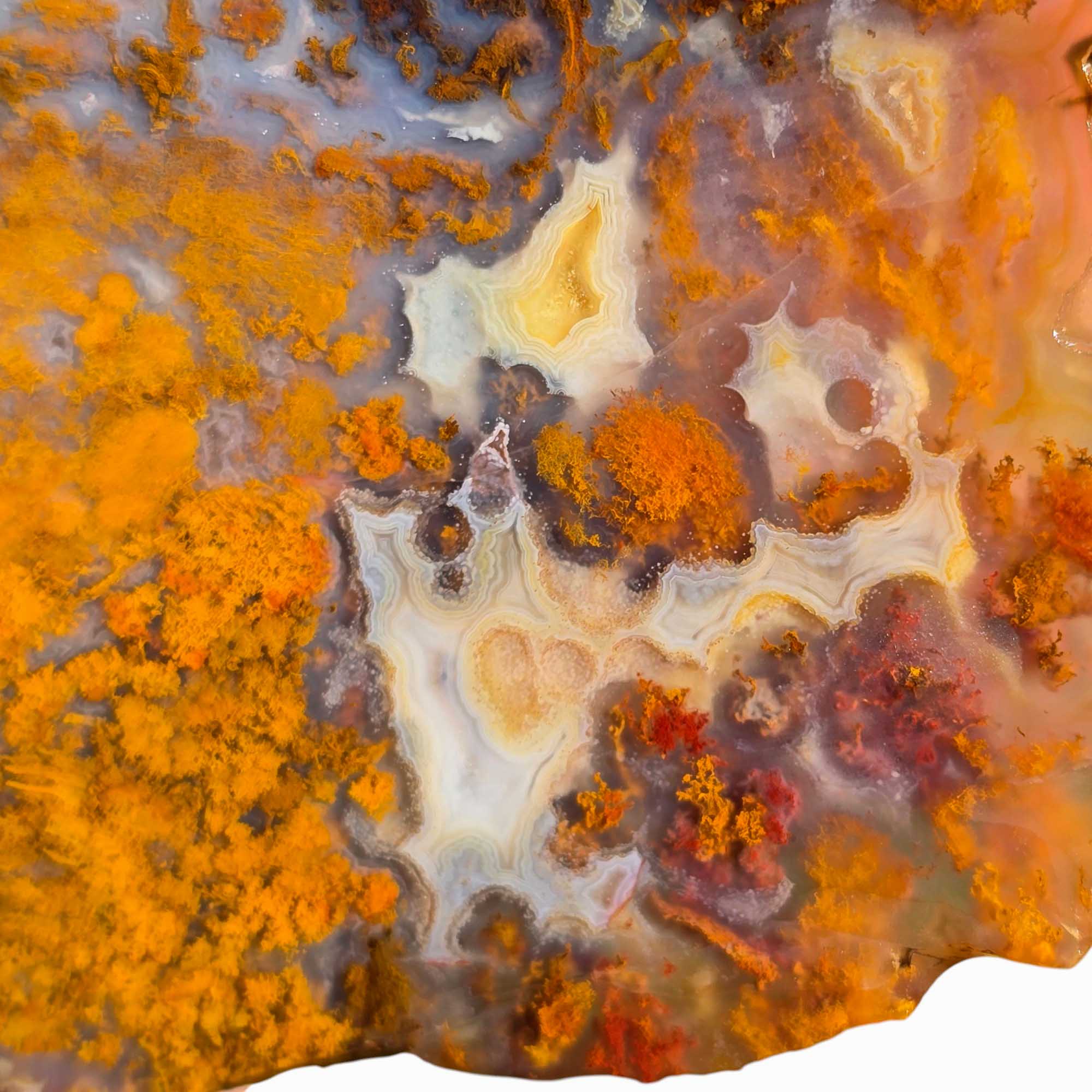 San Carlos Agate Slab Lapidary Stone Slice Cut Rock