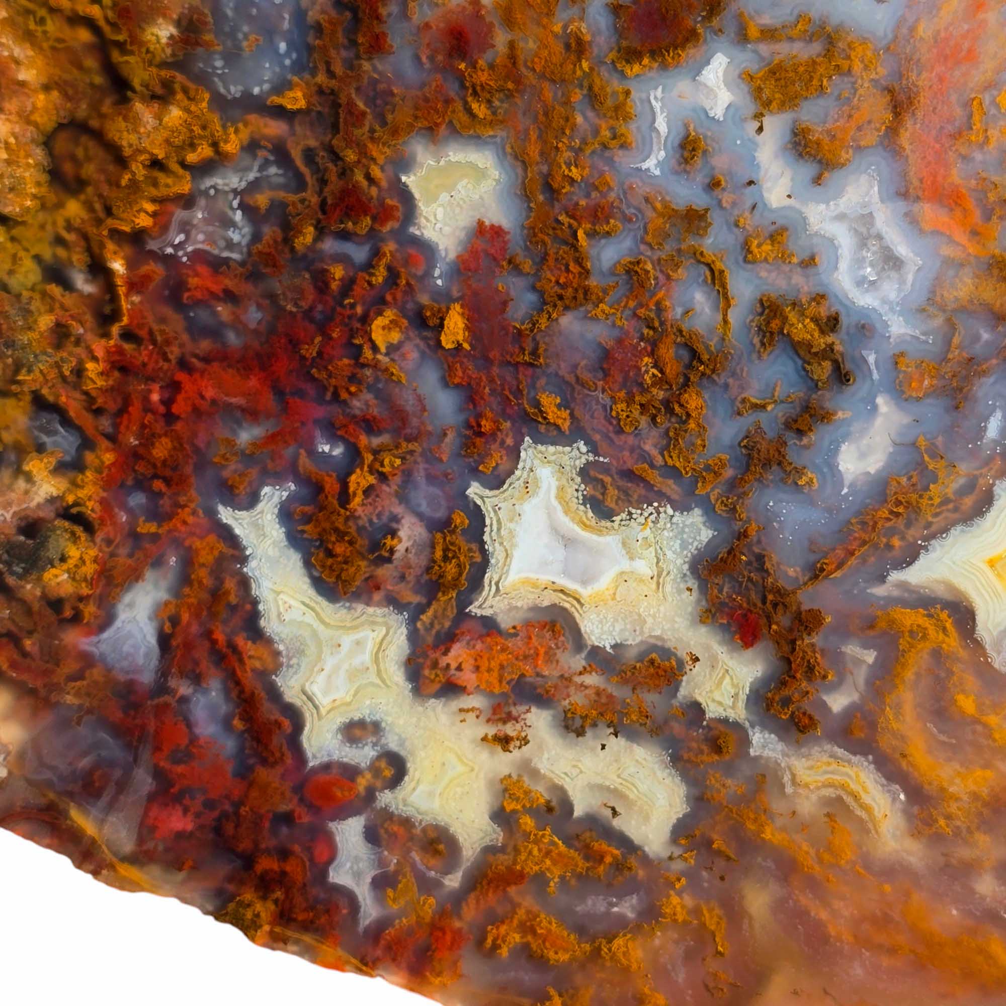 San Carlos Agate Slab Lapidary Stone Slice Cut Rock