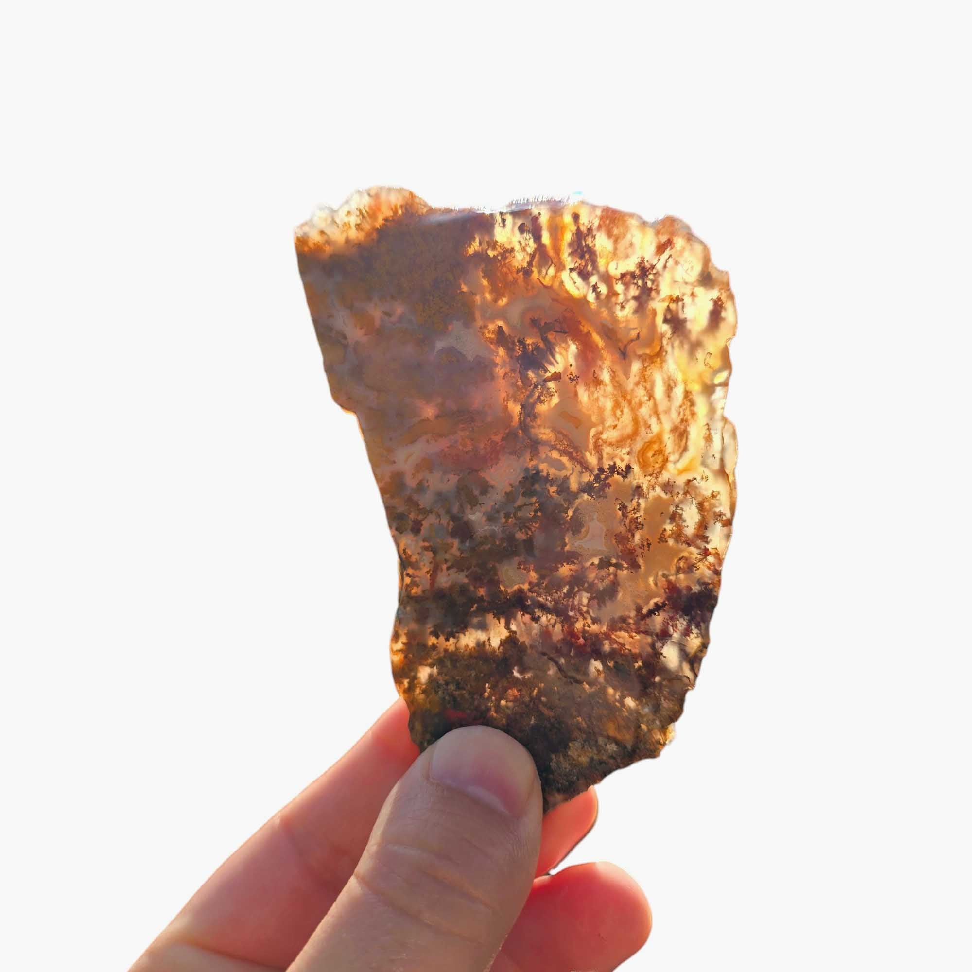 San Carlos Agate Slab Lapidary Stone Slice Cut Rock