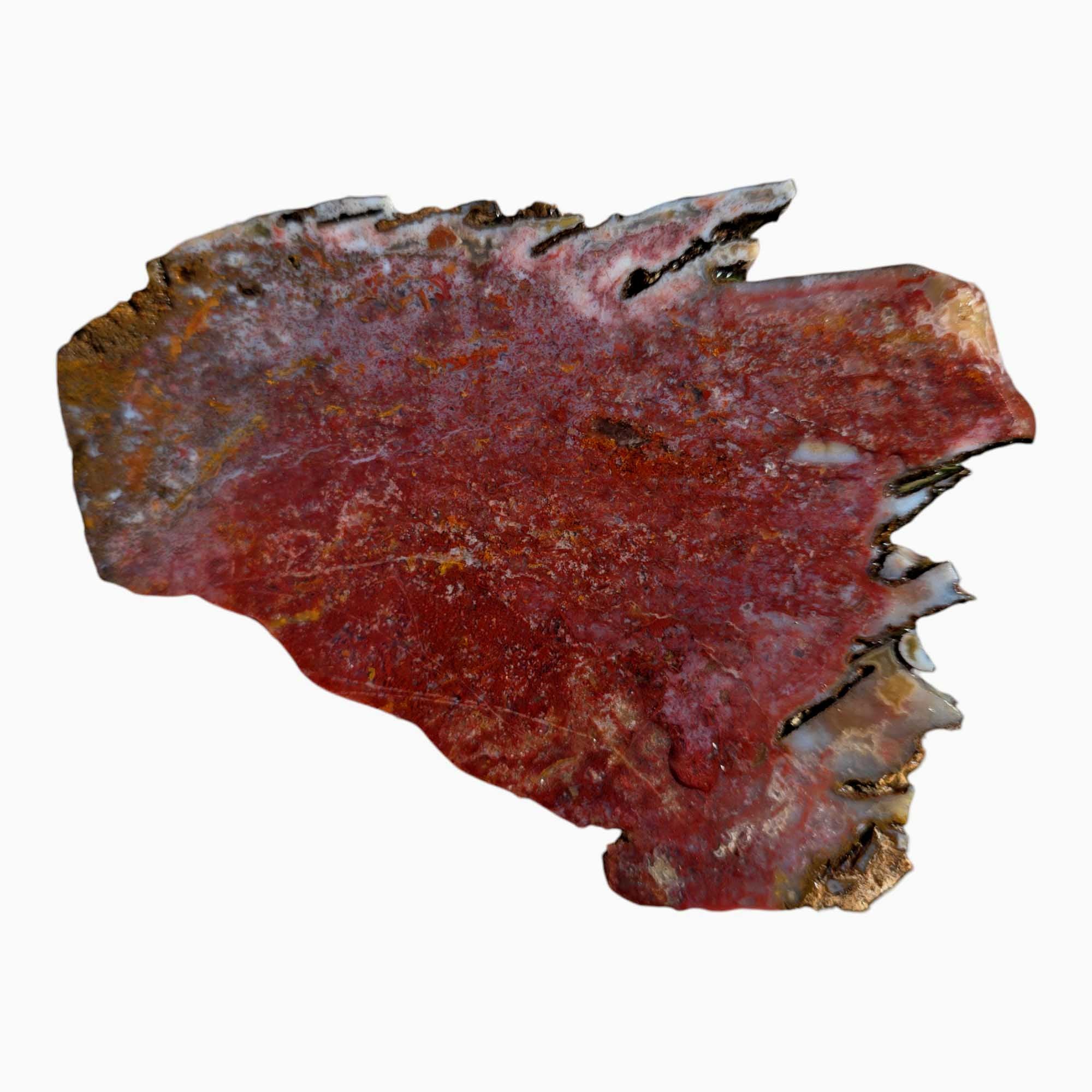 Agua Nueva Agate Slab Lapidary Stone Slice Cut Rock