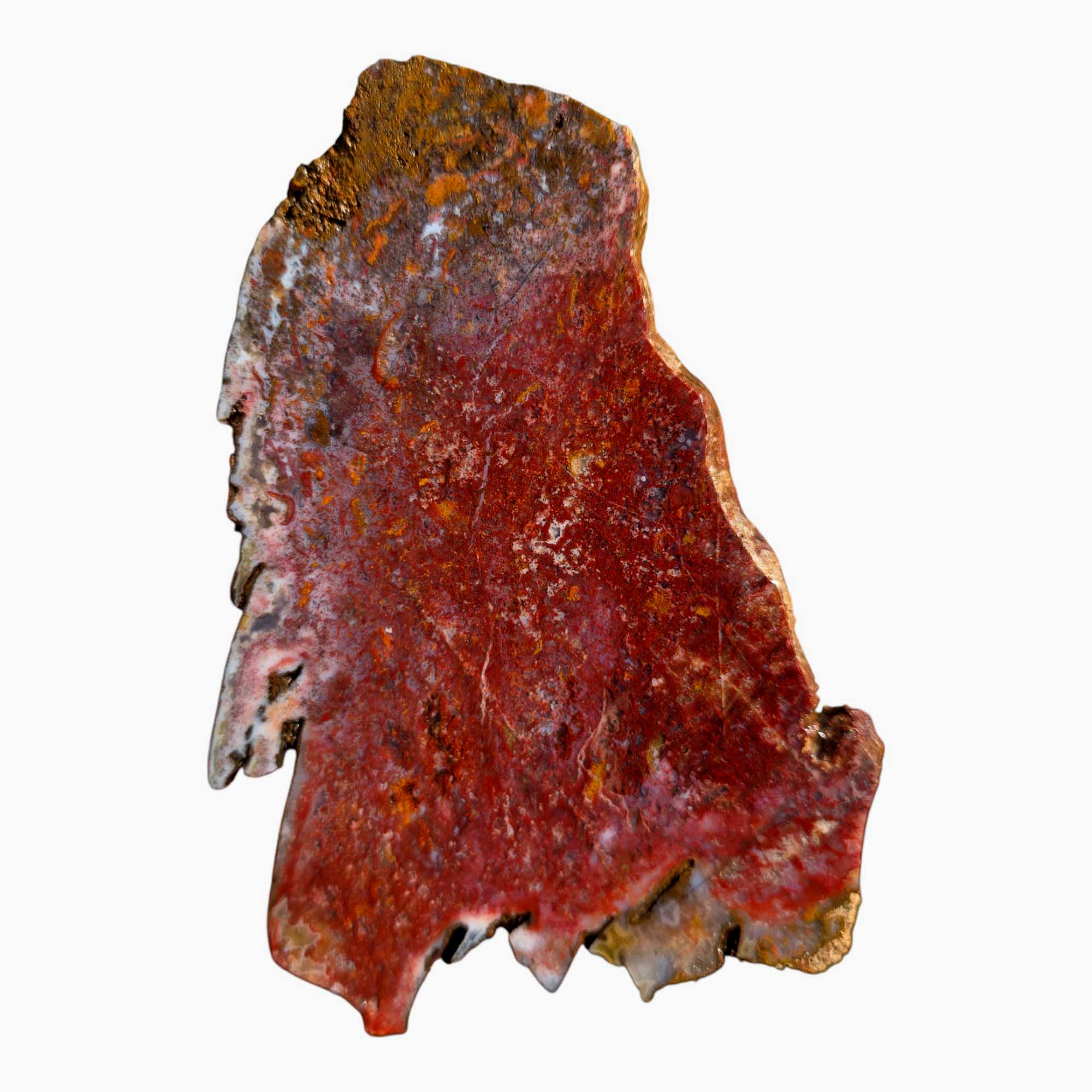 Agua Nueva Agate Slab Lapidary Stone Slice Cut Rock