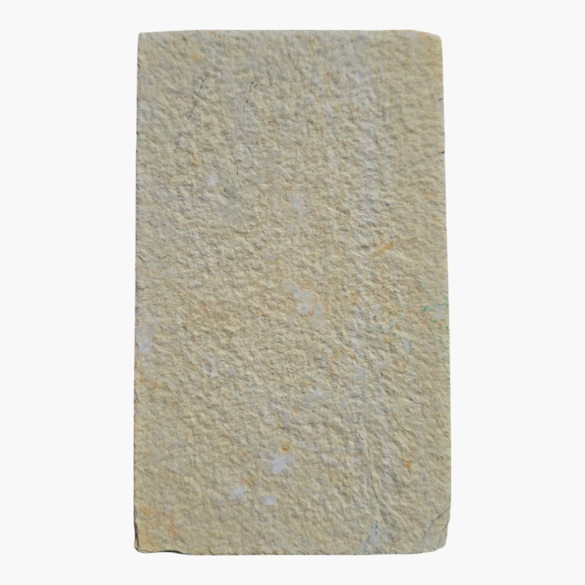 Authentic Knightia eocaena Fish Fossil Plate Green River Formation #3495-Photo4