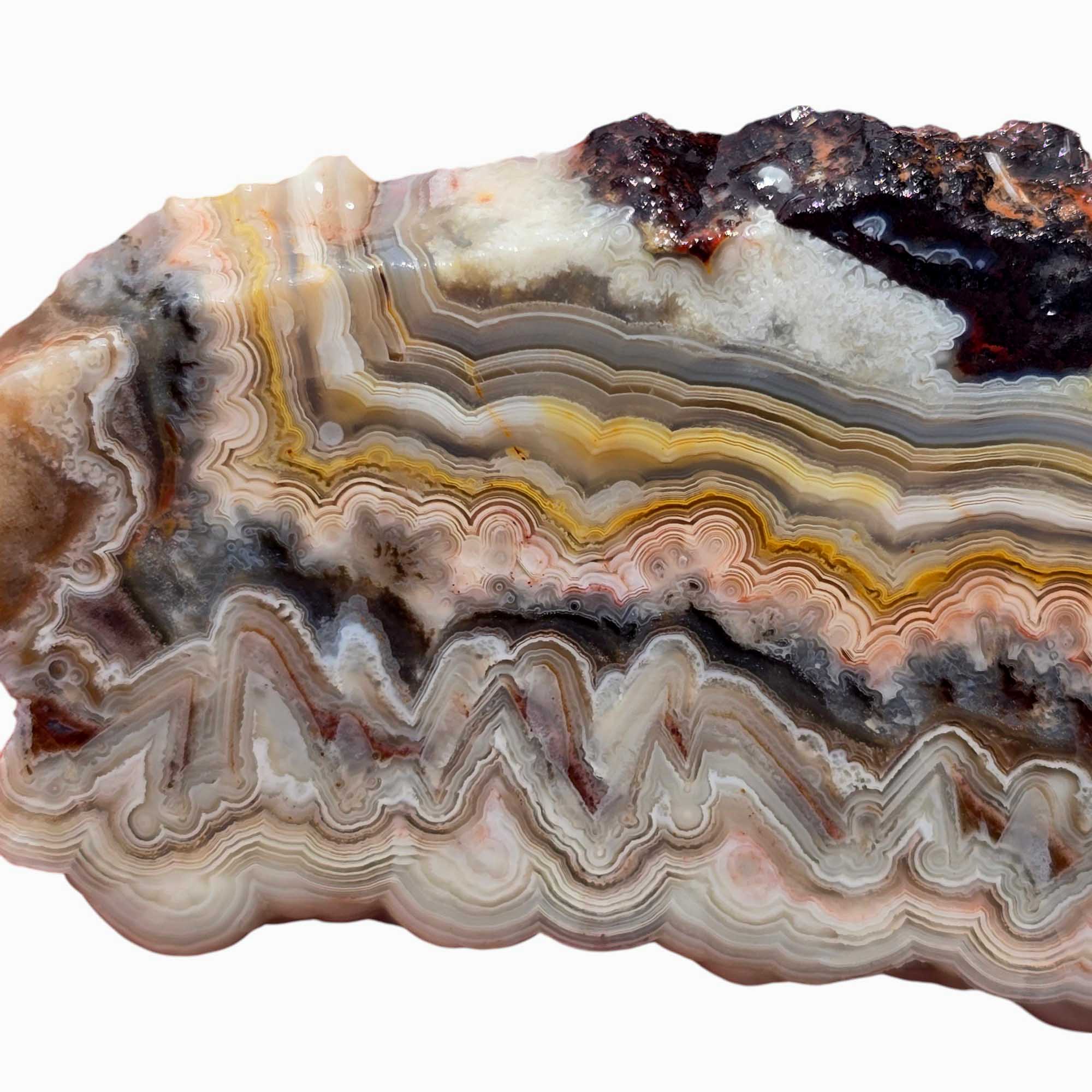 Crazy Lace Agate Slab from Mexico – Colorful Banded Lapidary Rough Stone