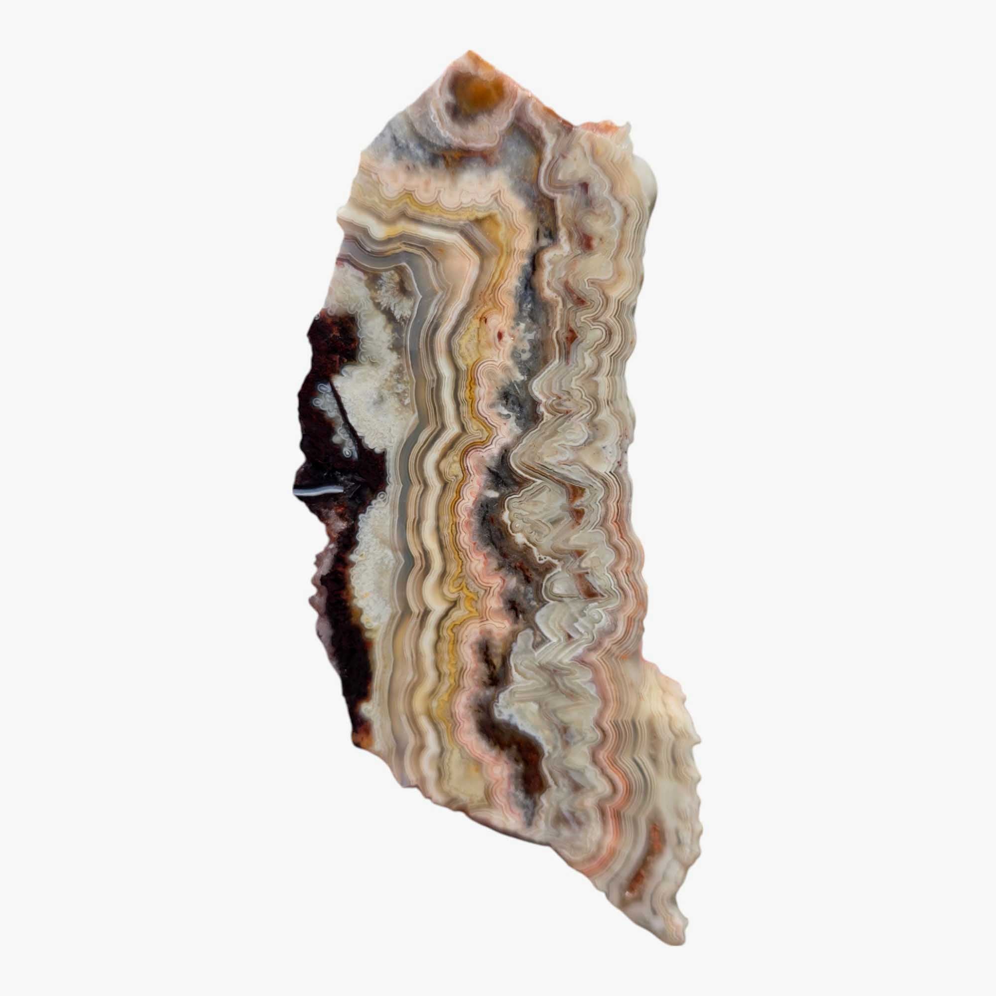 Crazy Lace Agate Slab from Mexico – Colorful Banded Lapidary Rough Stone
