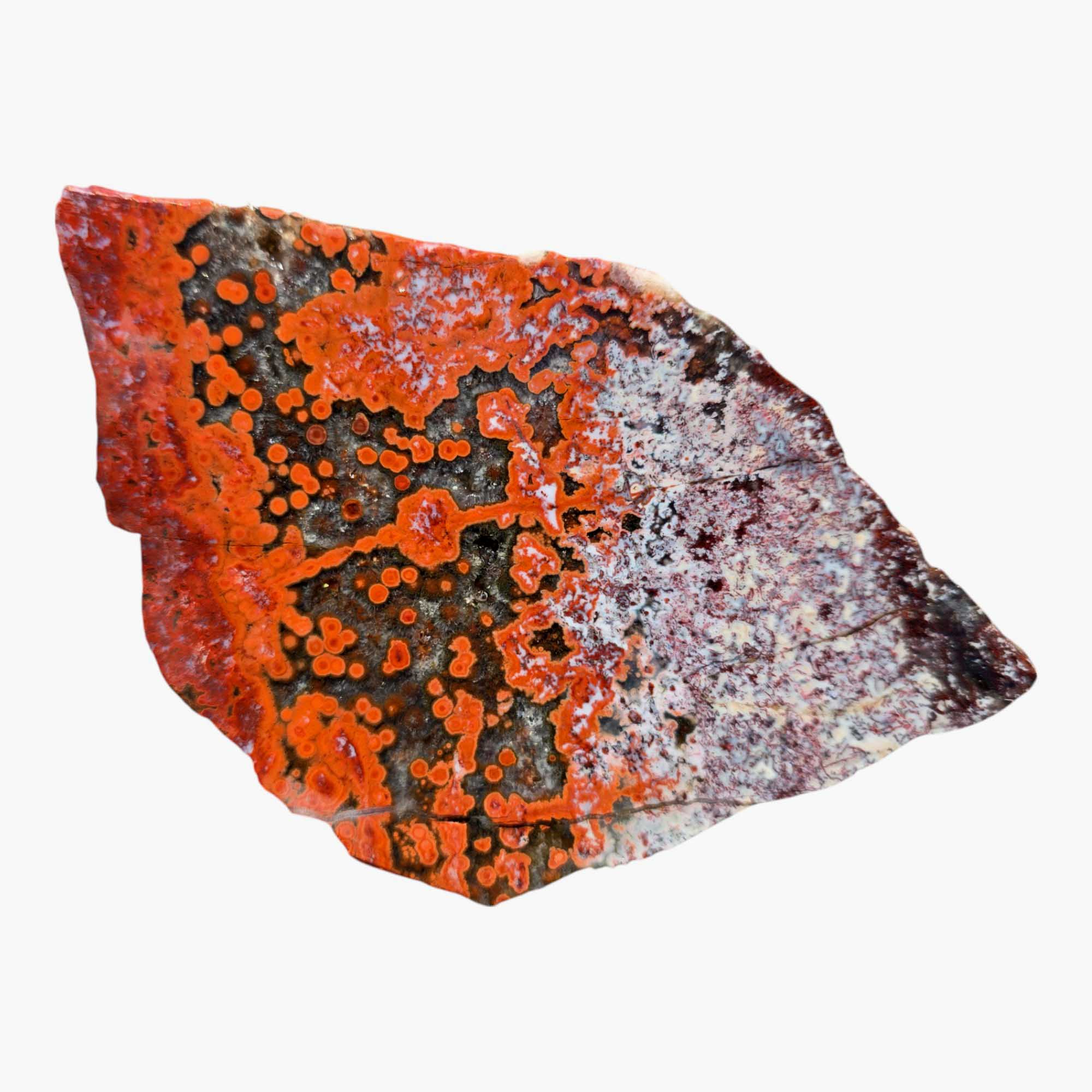 Duncan Poppy Jasper Slab – New Discovery from California with Bold Orb