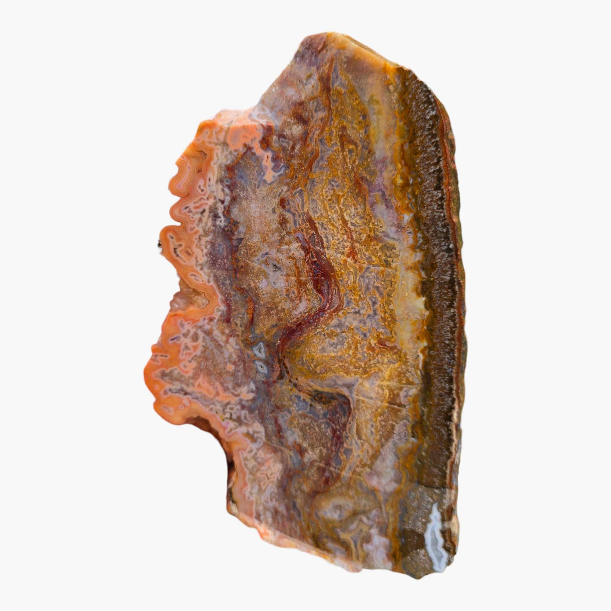 Agua Nueva Agate – Classic Static Moss Agate from Mexico for Lapidary Use