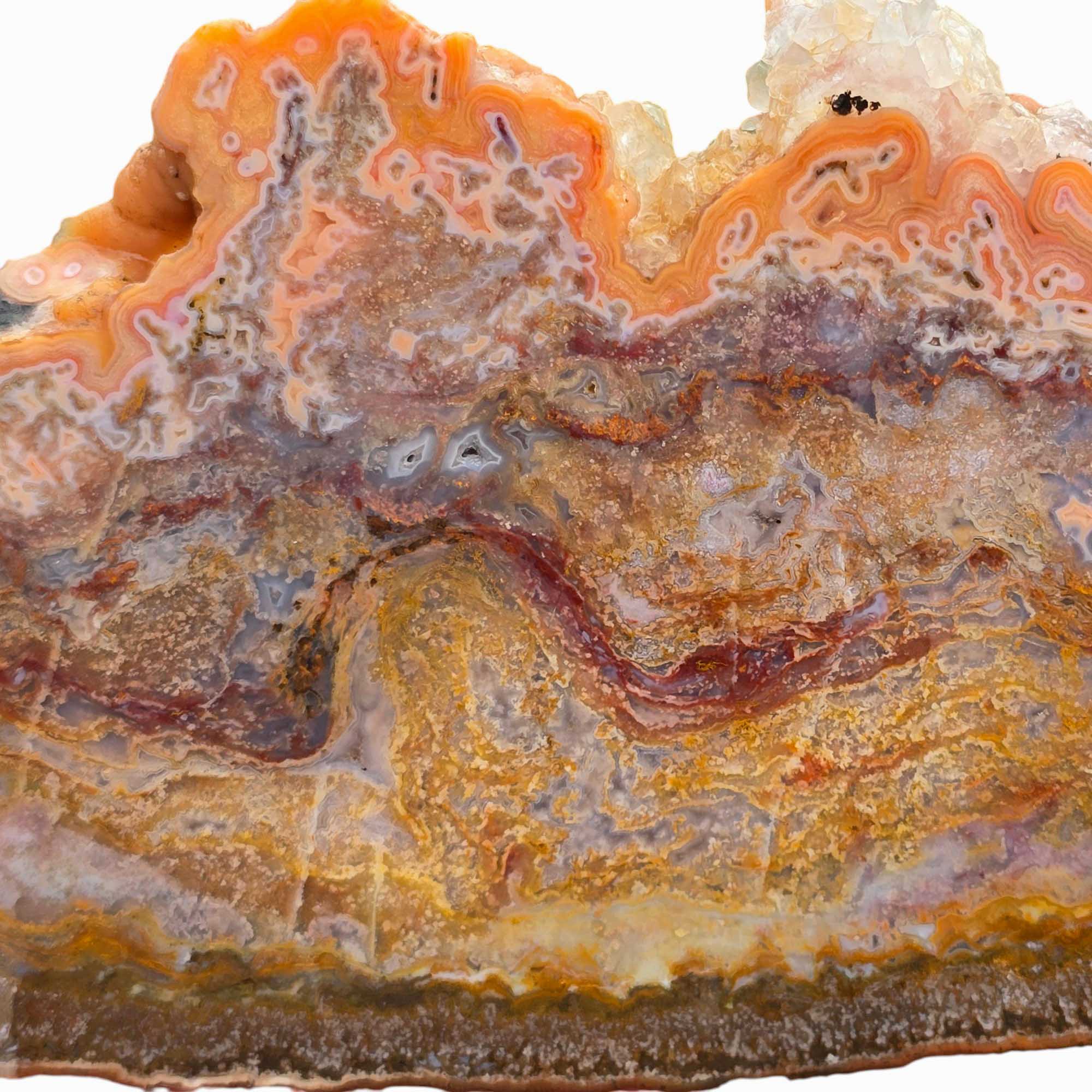 Agua Nueva Agate – Classic Static Moss Agate from Mexico for Lapidary Use