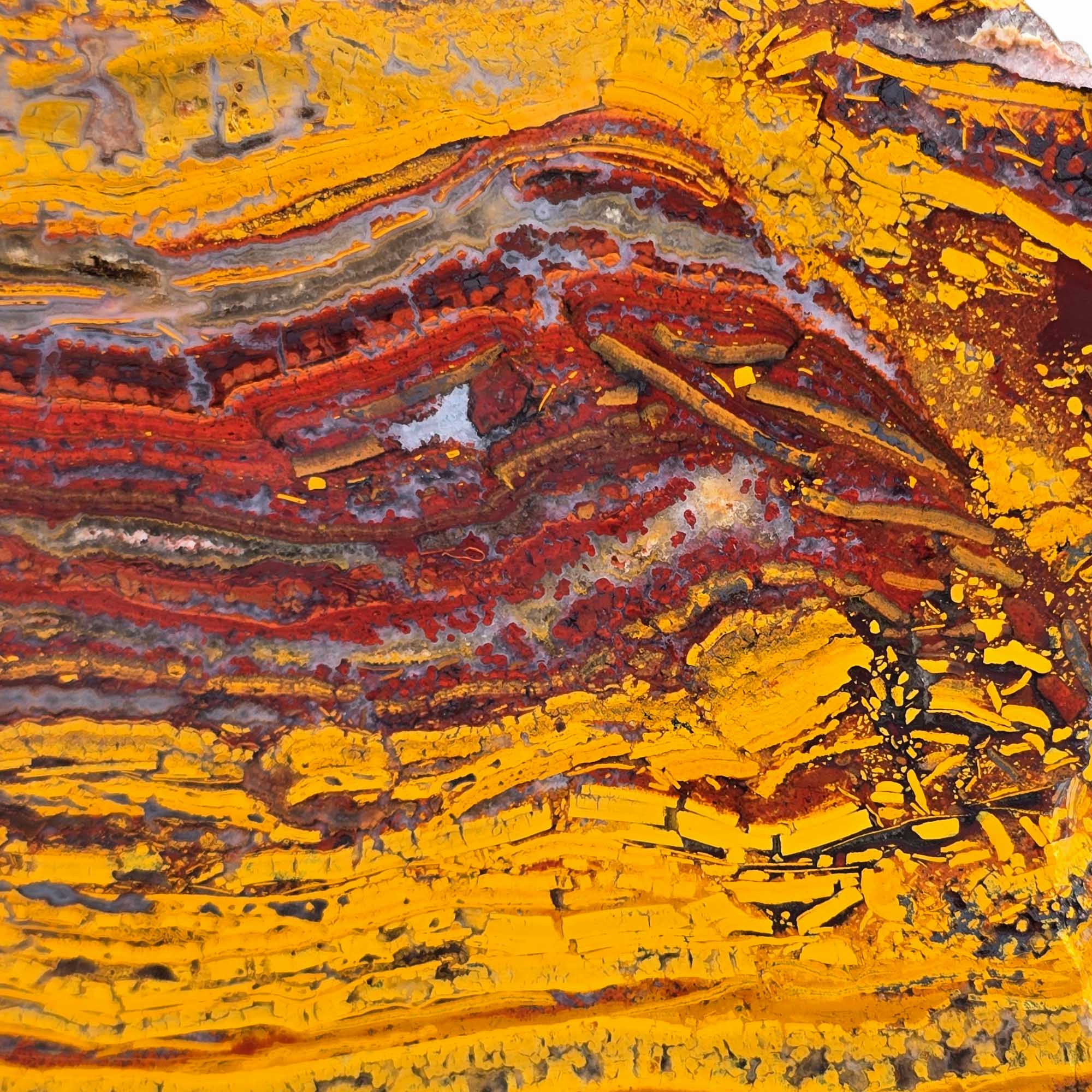 Apple Valley Jasper – Fossil Stromatolite from Morocco with Unique Patterning