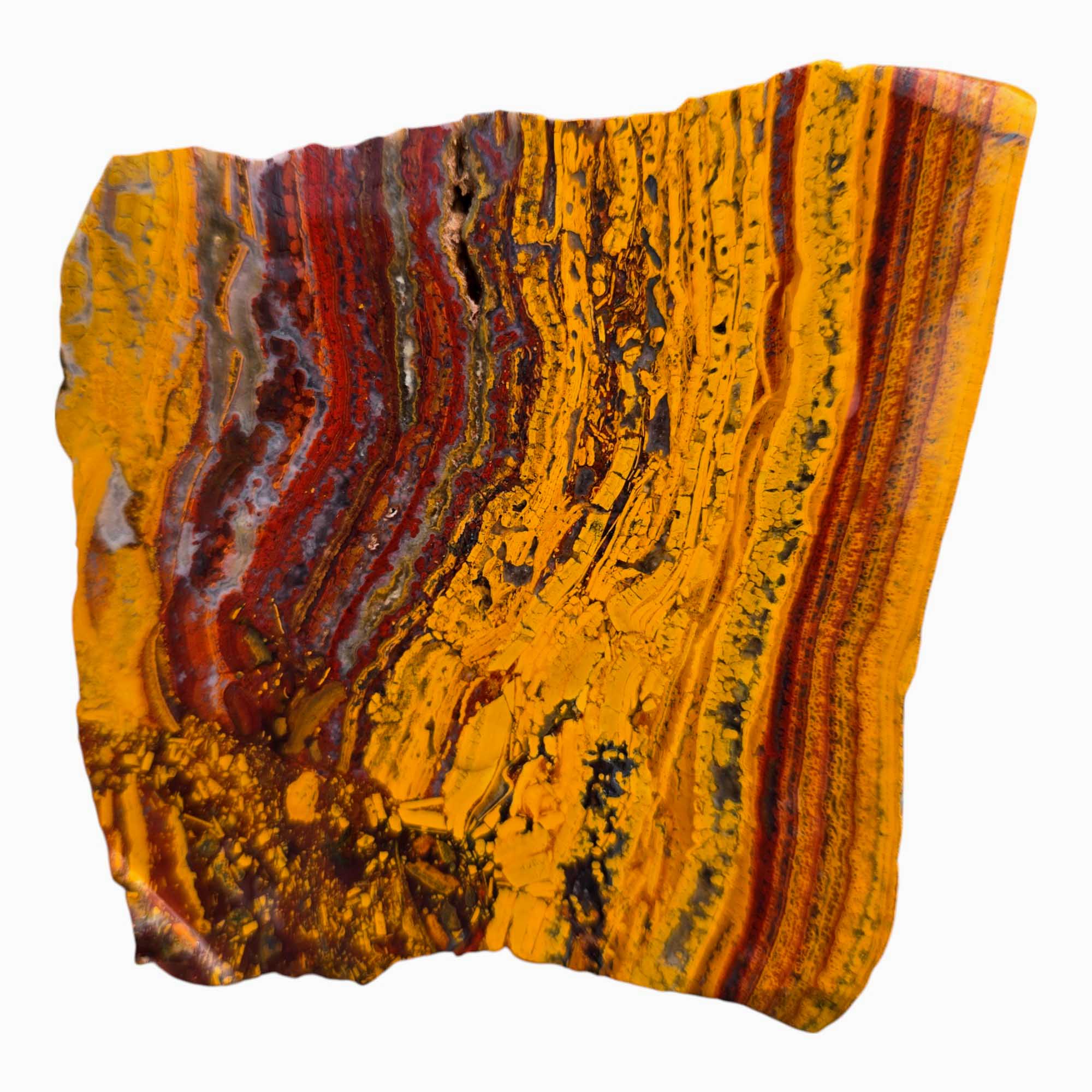 Apple Valley Jasper – Fossil Stromatolite from Morocco with Unique Patterning