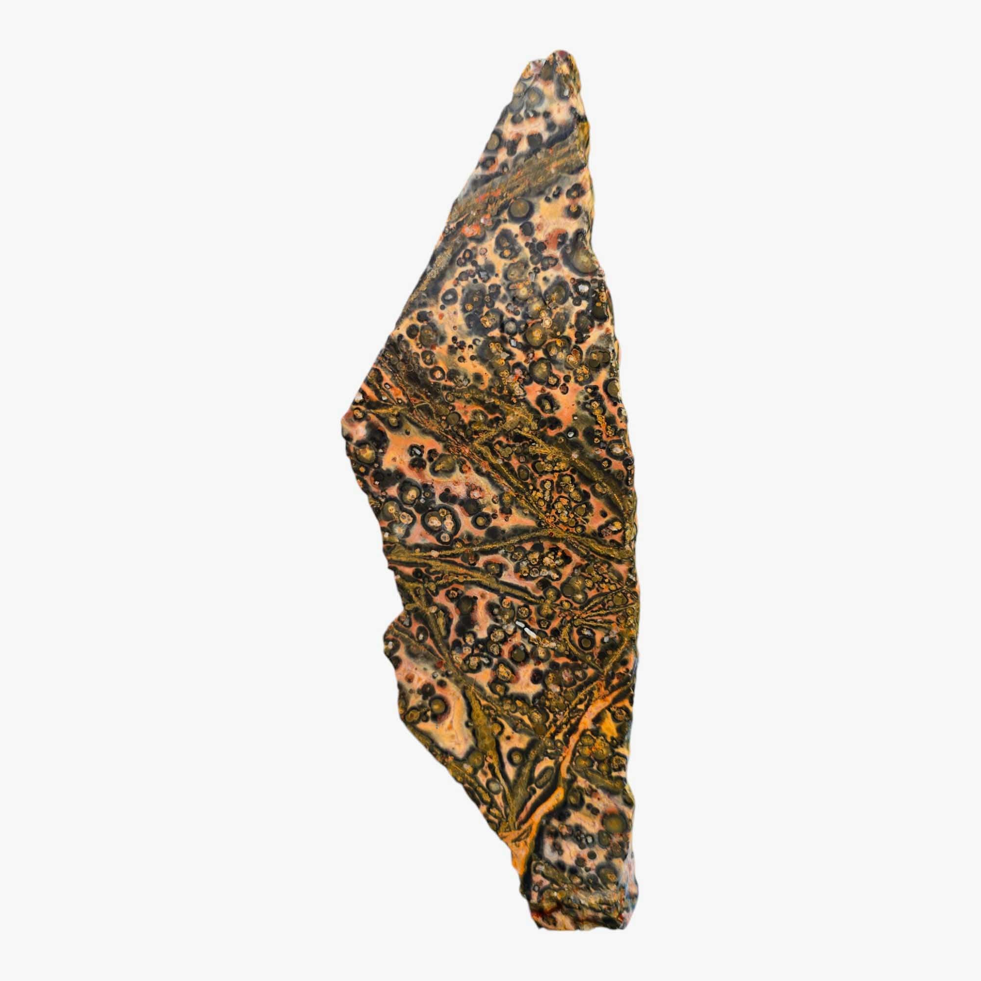 Leopard Skin Rhyolite Slab – Spotted Lapidary Stone from Mexico