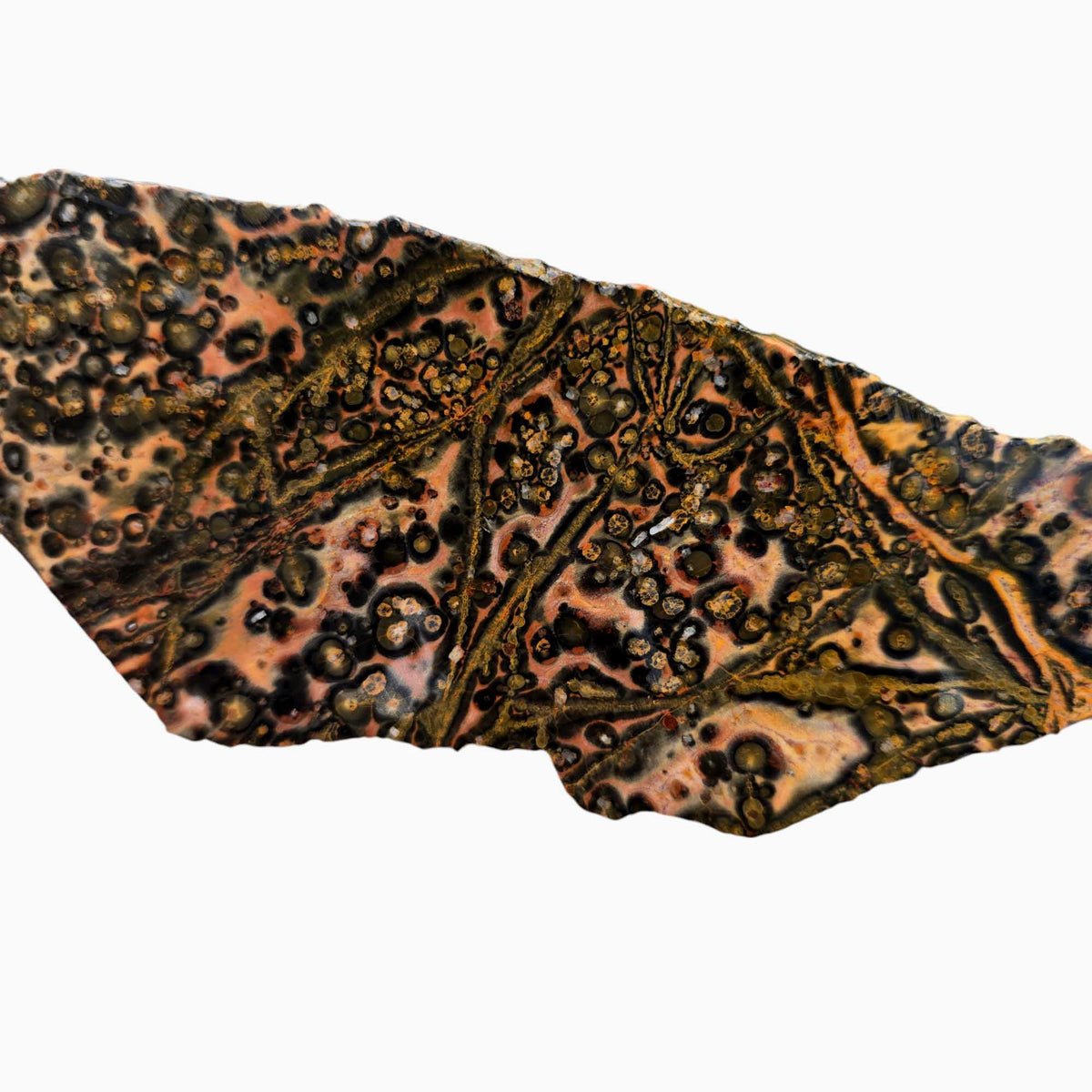 Solid Rhyolite Leopard Skin Rhyolite Slab – Spotted Lapidary Stone from Mexico